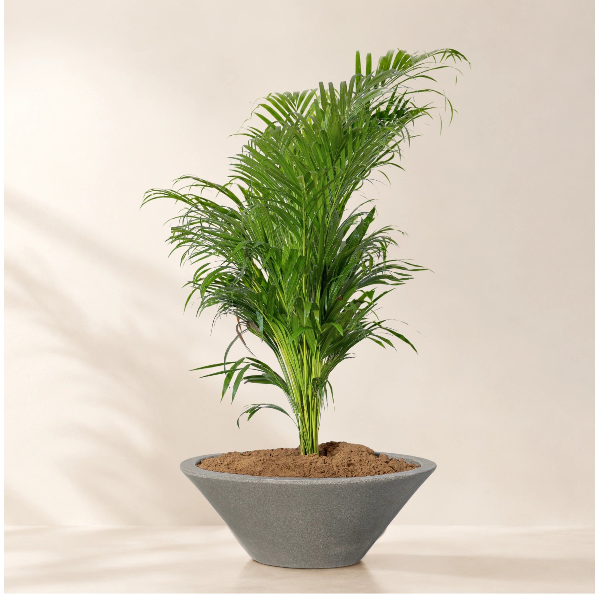 Klap Planter