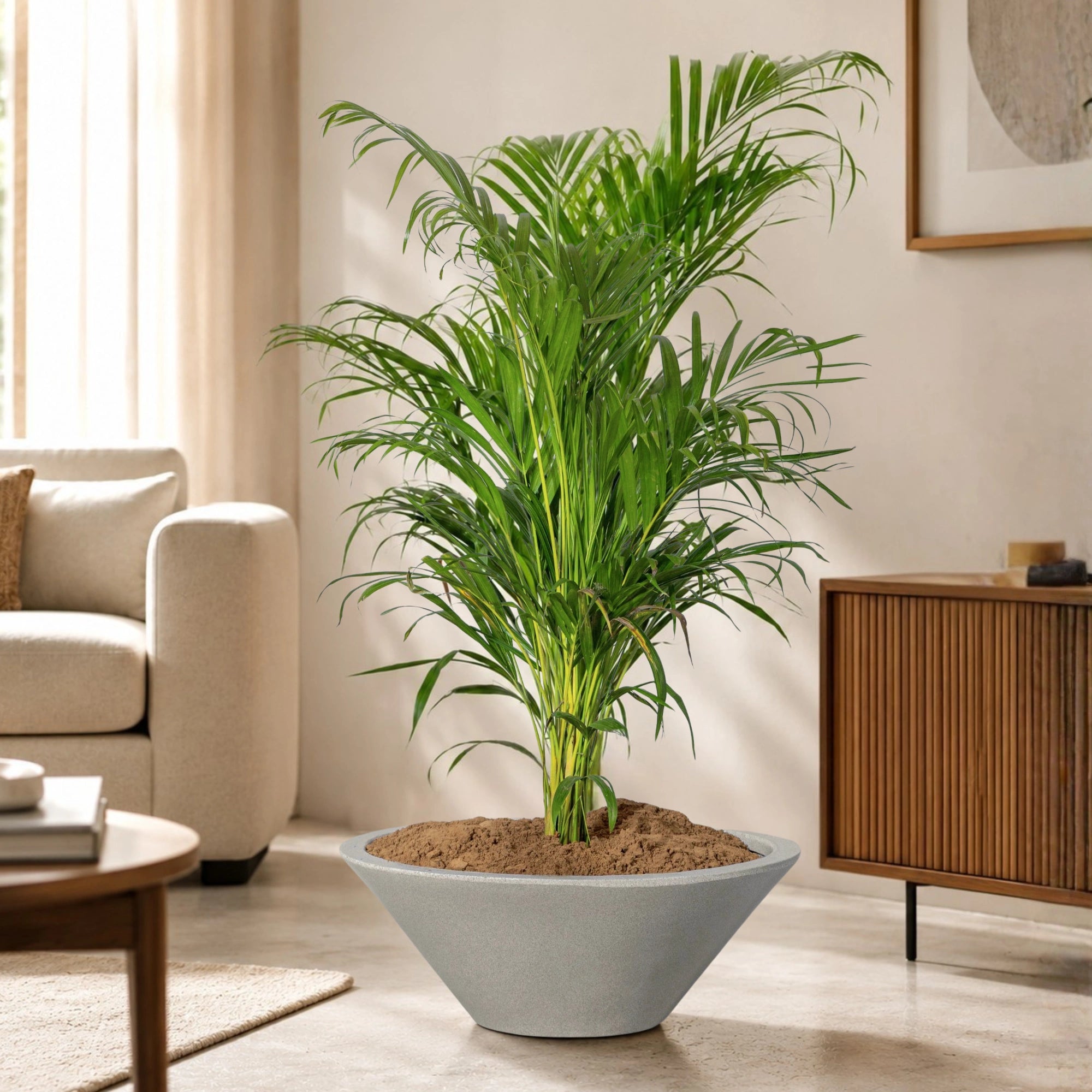 Klap Planter