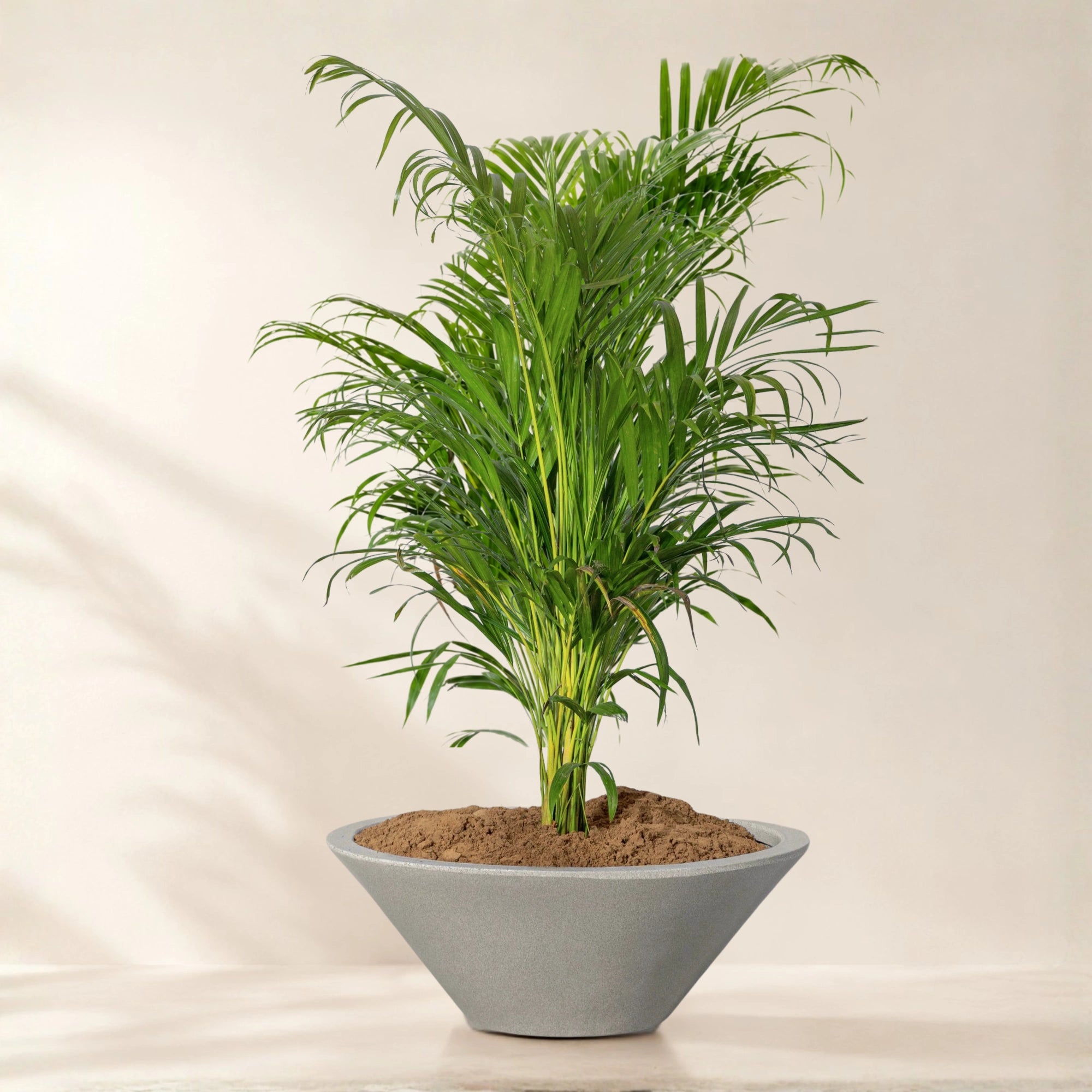 Klap Planter