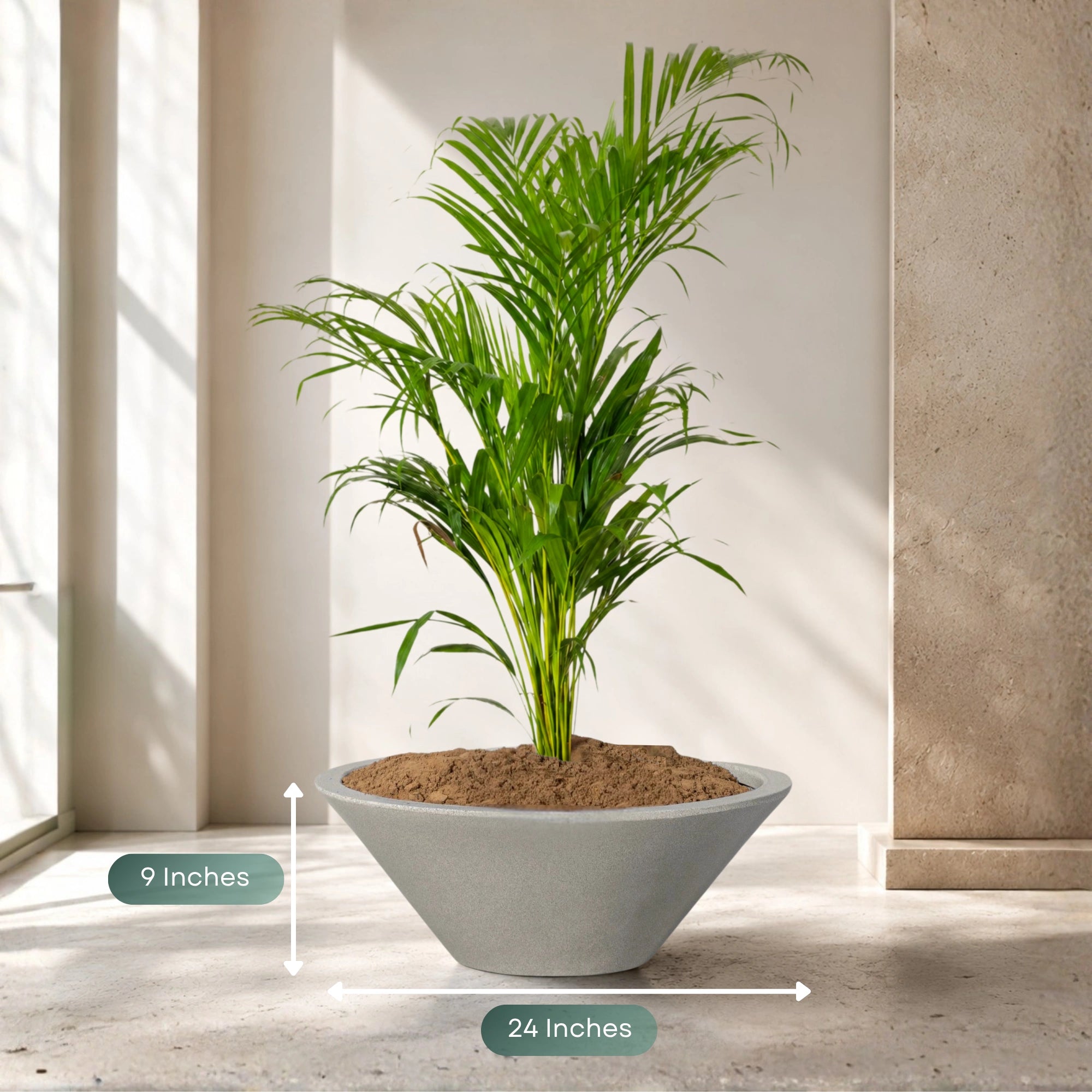 Klap Planter