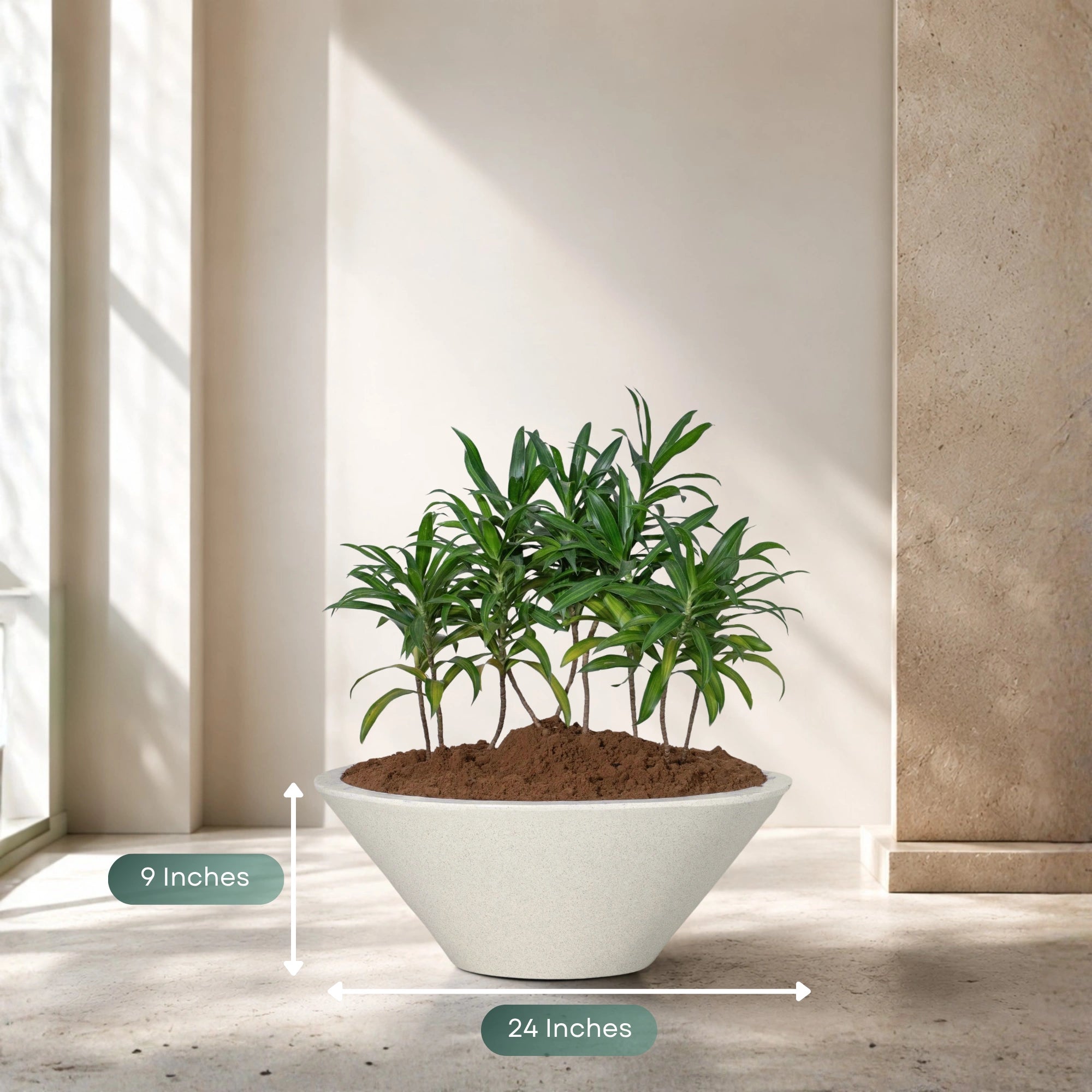 Klap Planter