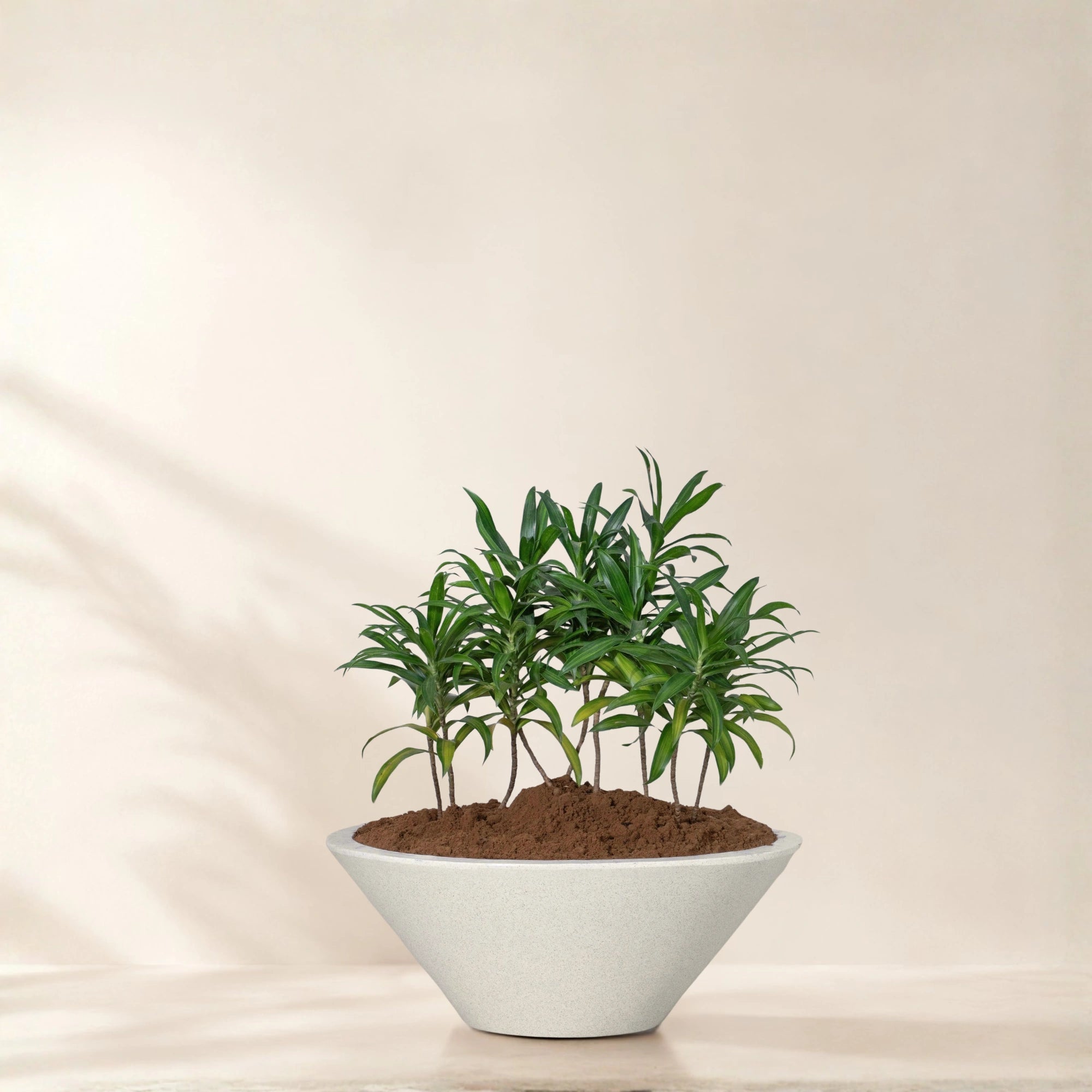 Klap Planter