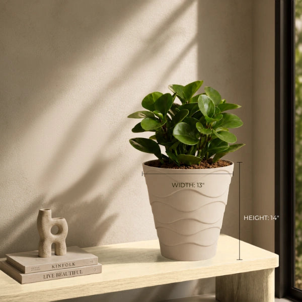 Swirl | Indoor Tabletop Planter