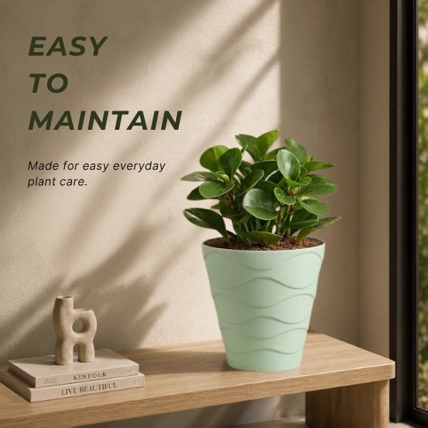 Swirl | Indoor Tabletop Planter