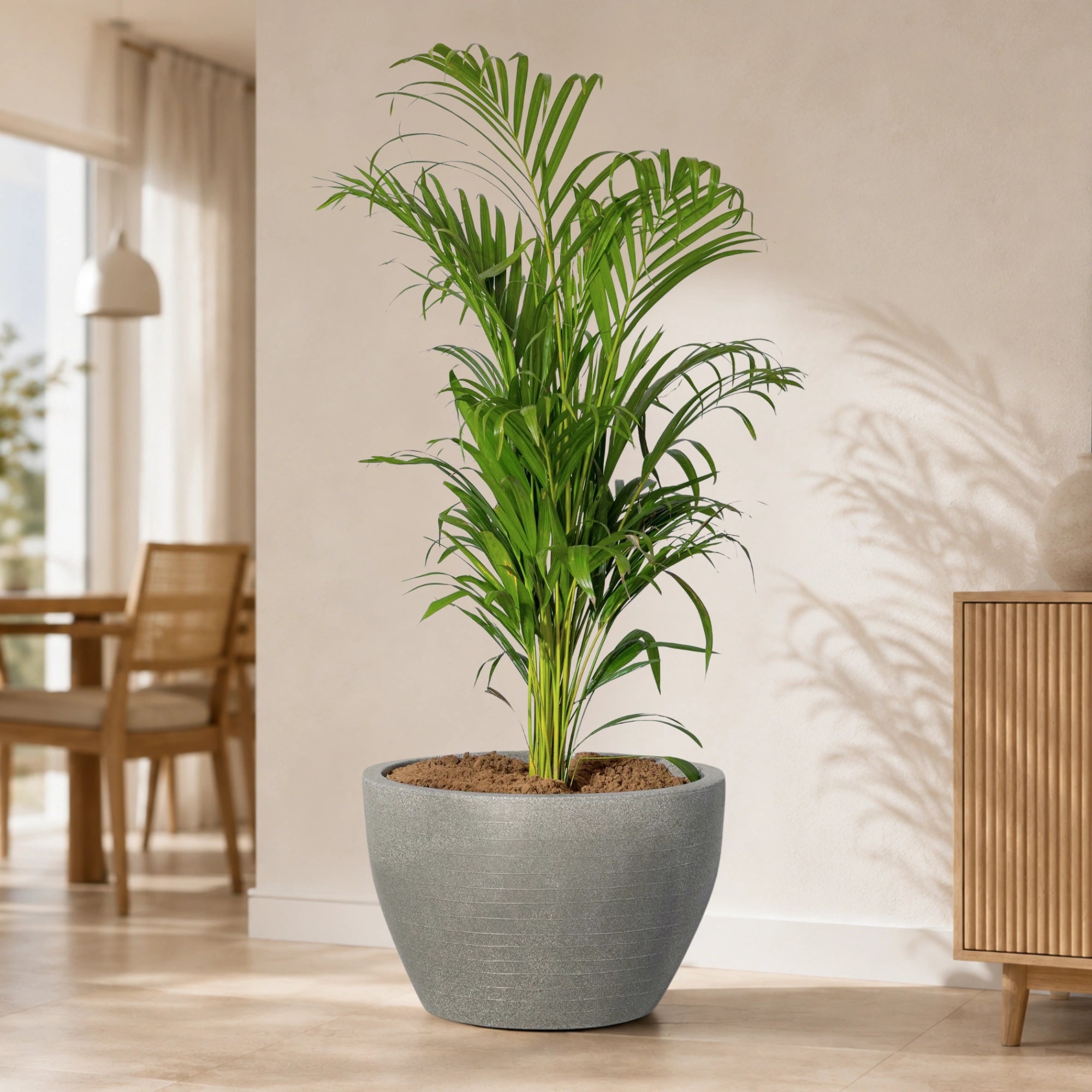 Nova Planter