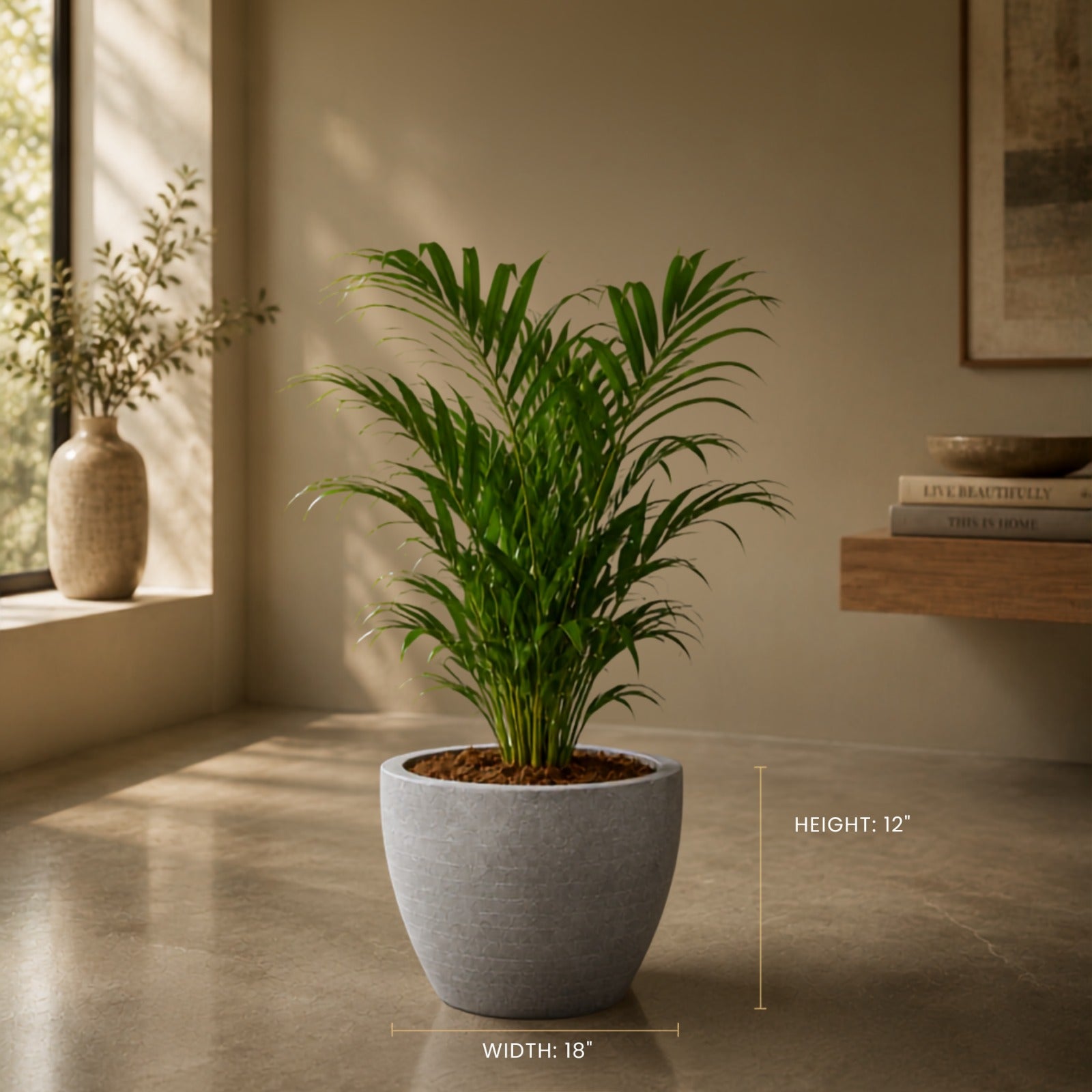 Nova Planter