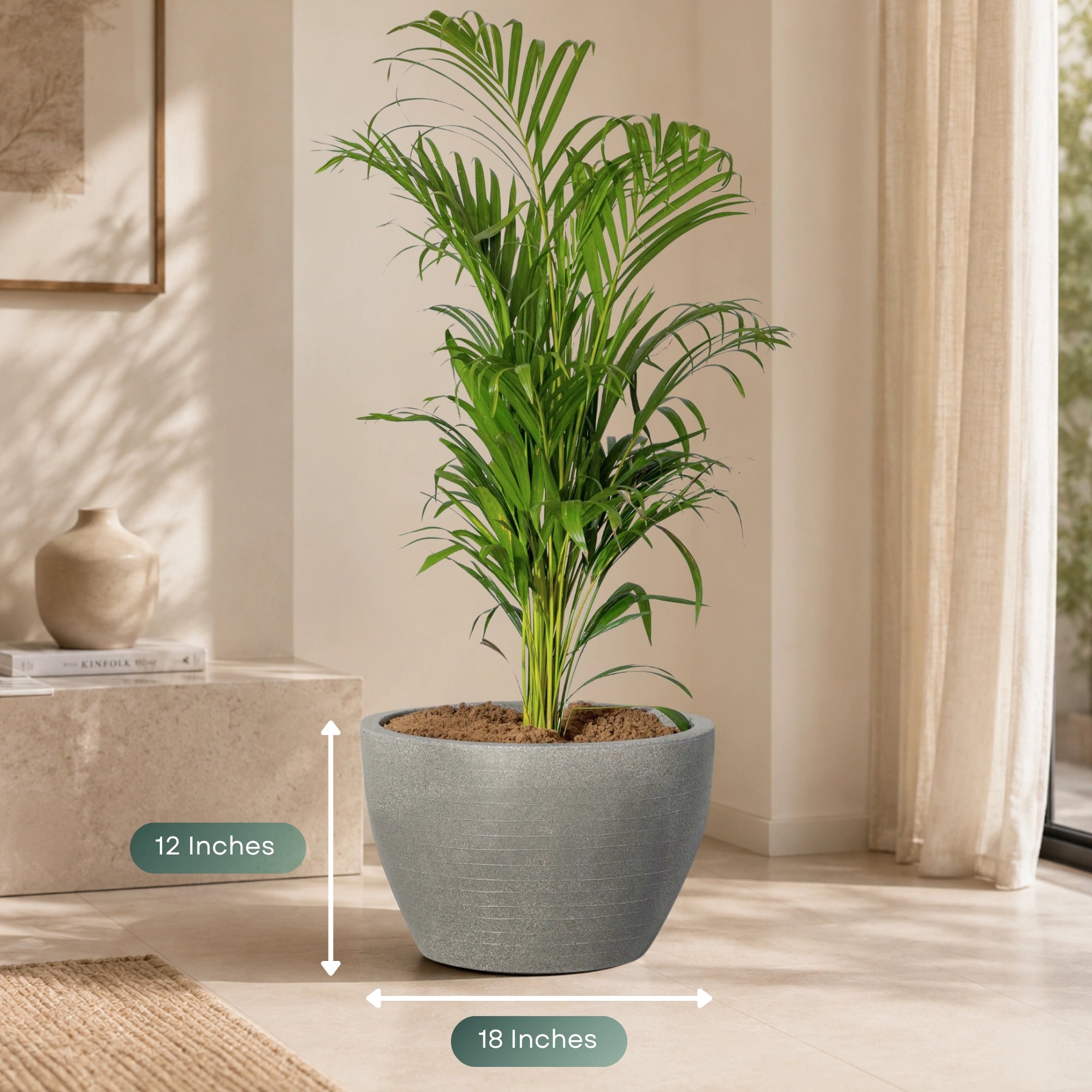 Nova Planter