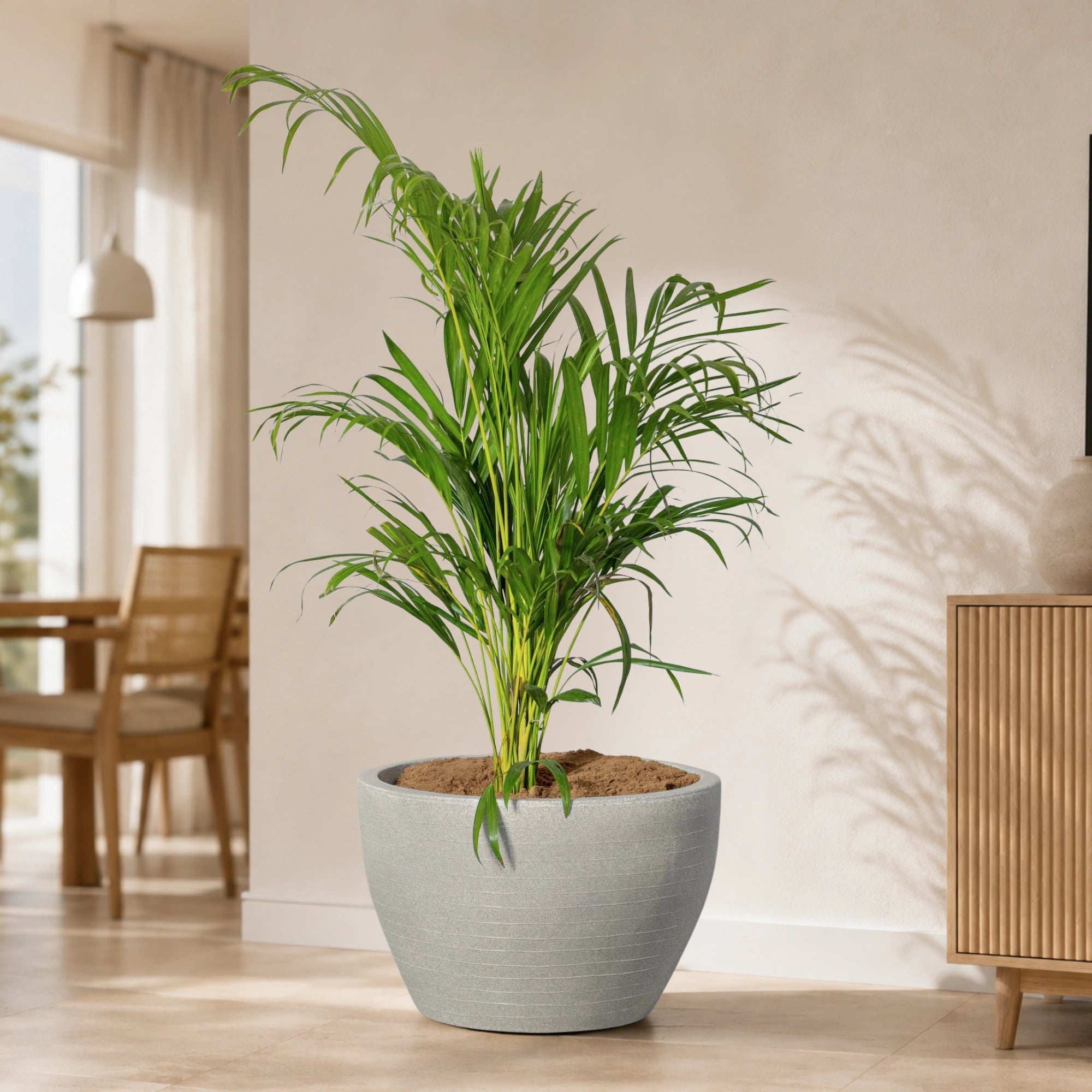 Nova Planter