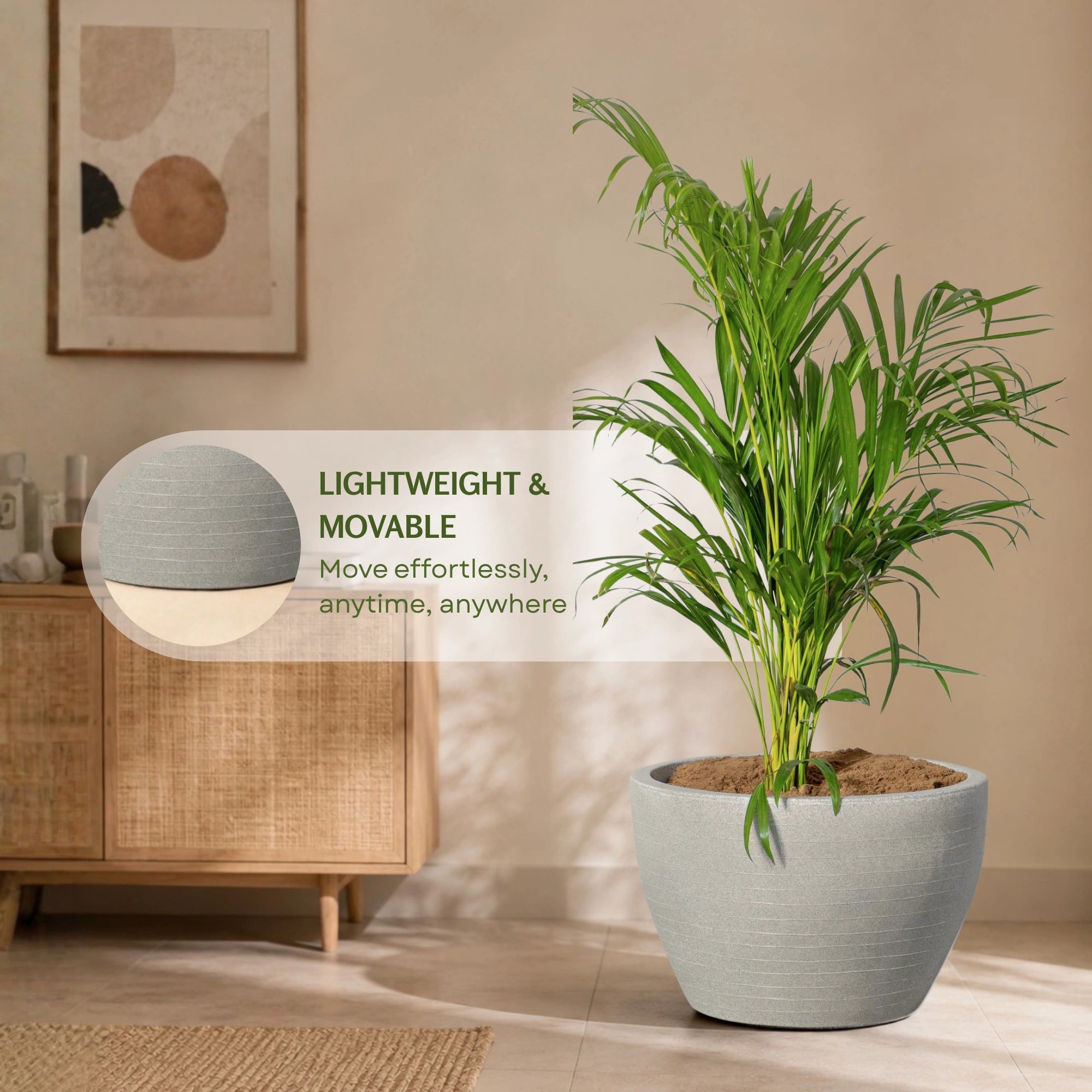 Nova Planter