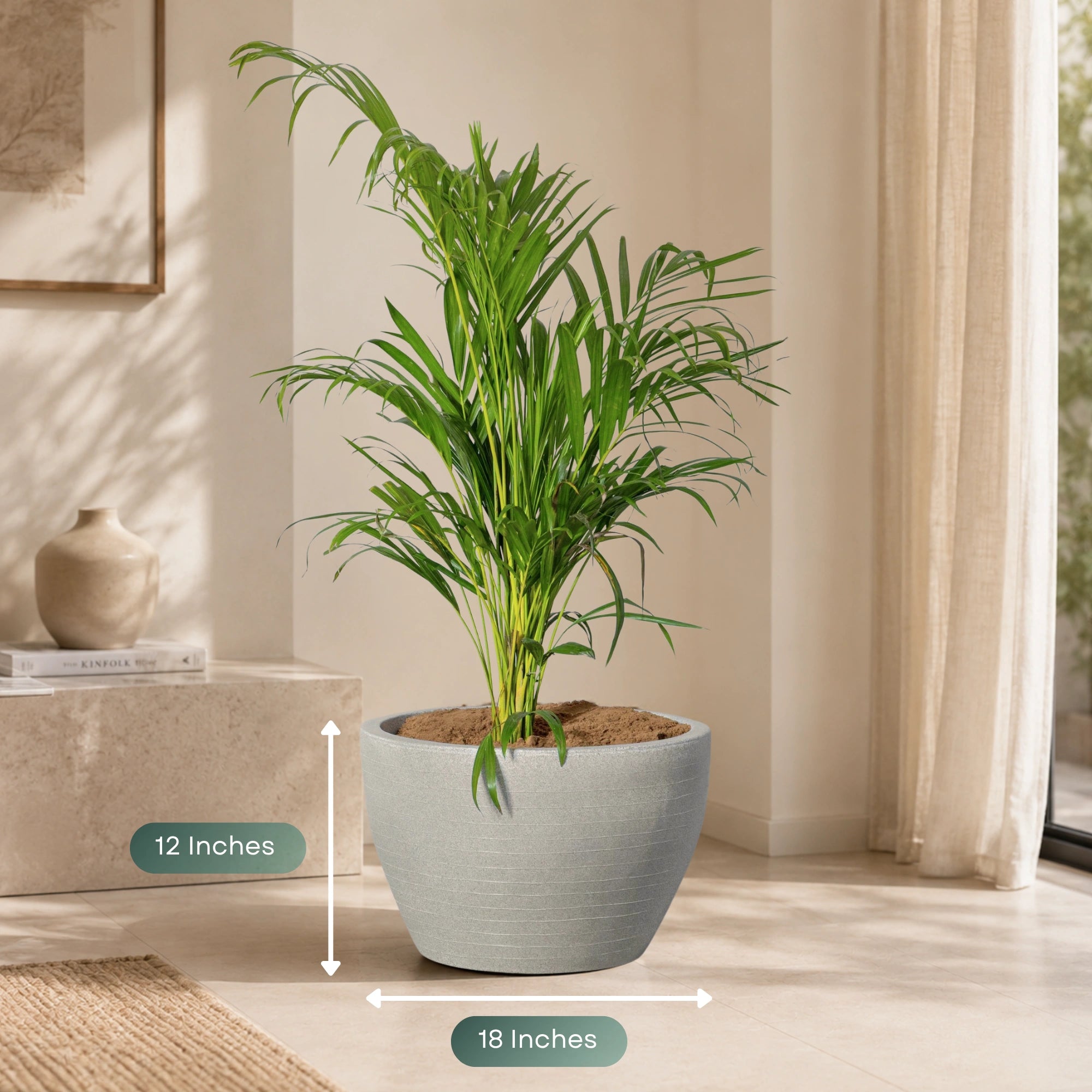 Nova Planter