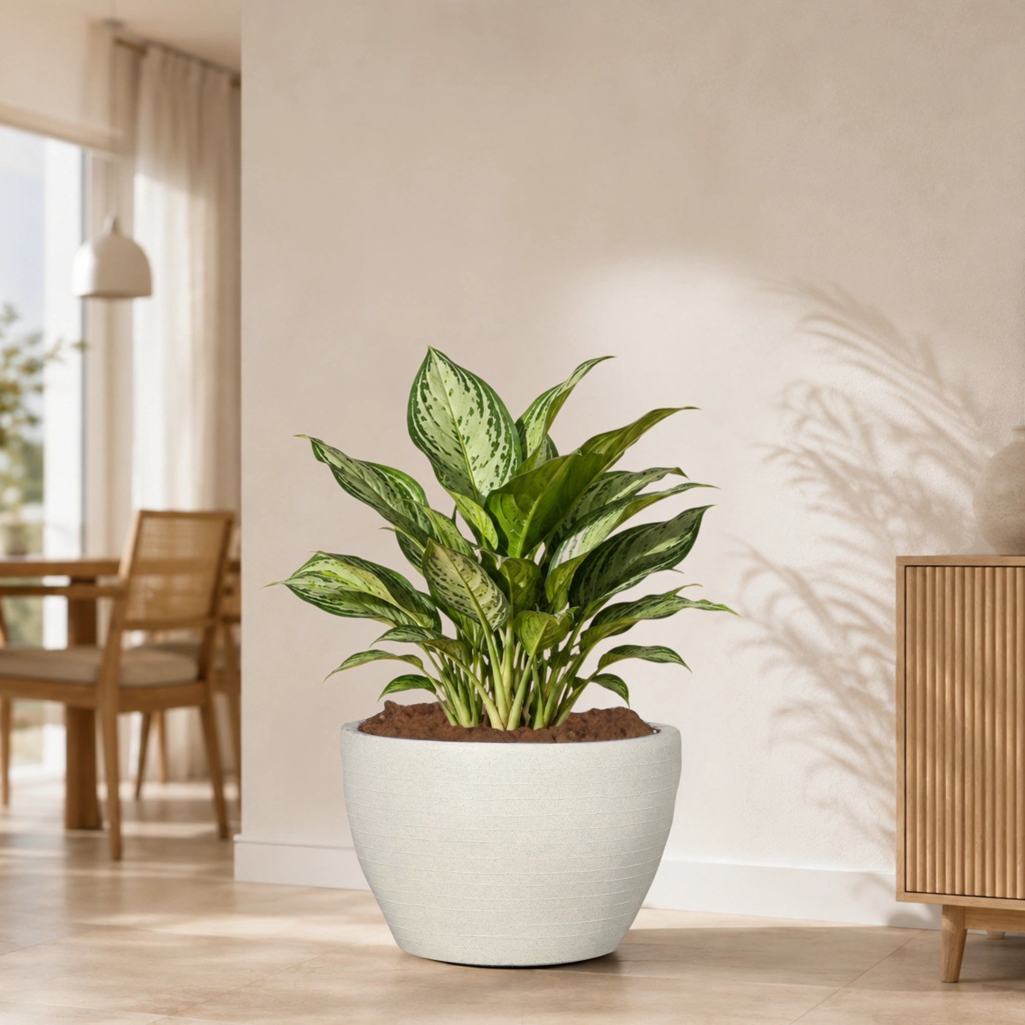 Nova Planter