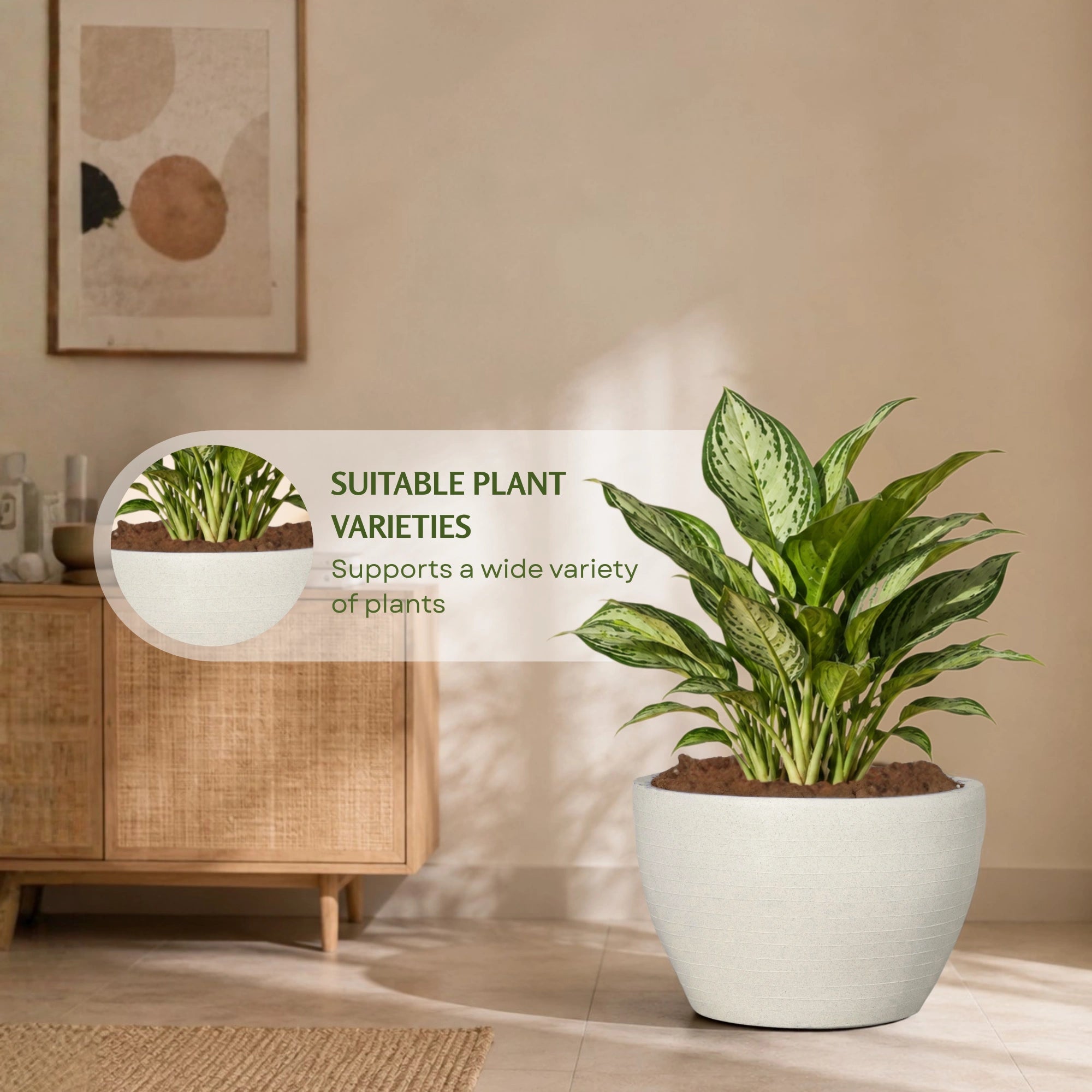 Nova Planter