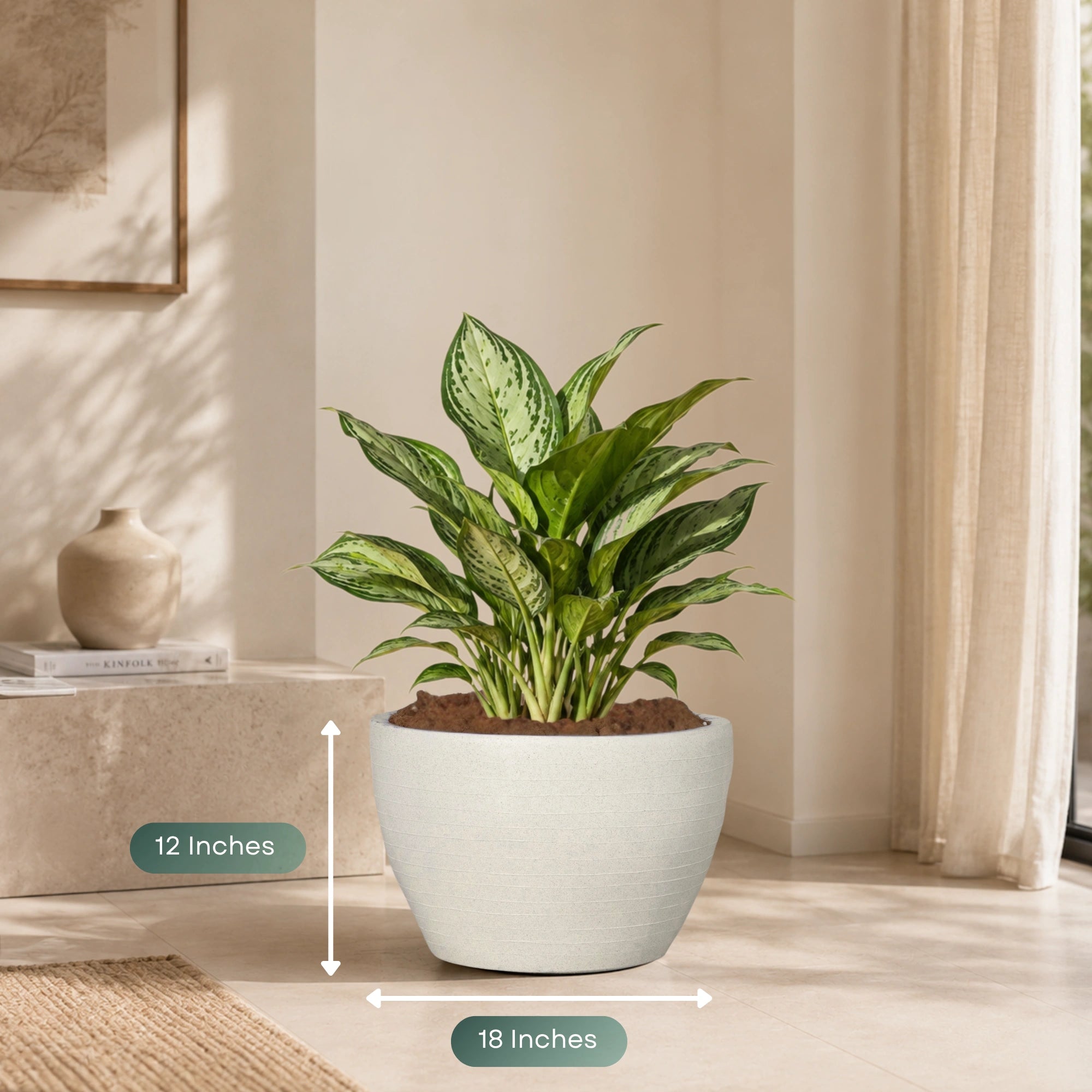 Nova Planter