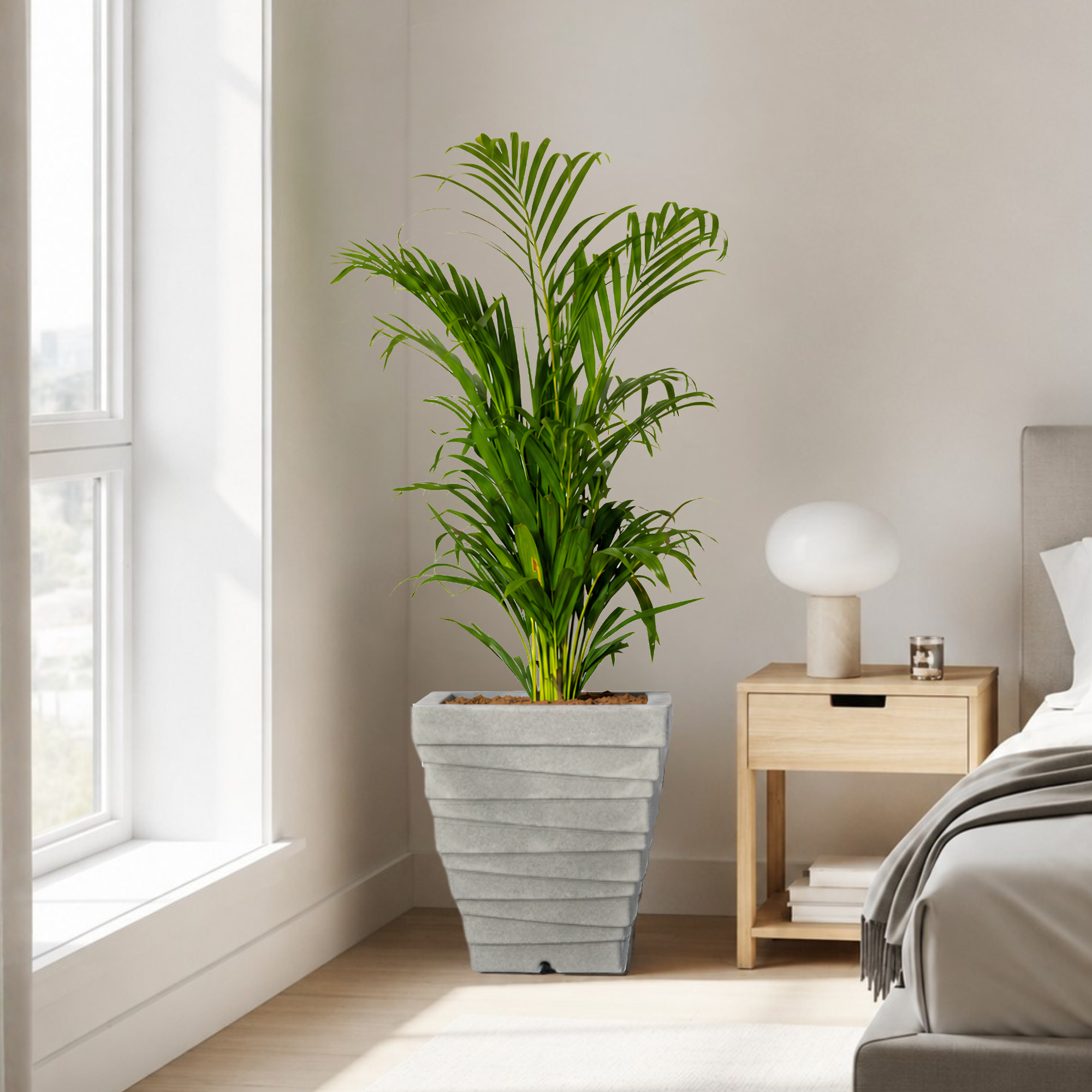 giza - best indoor planter