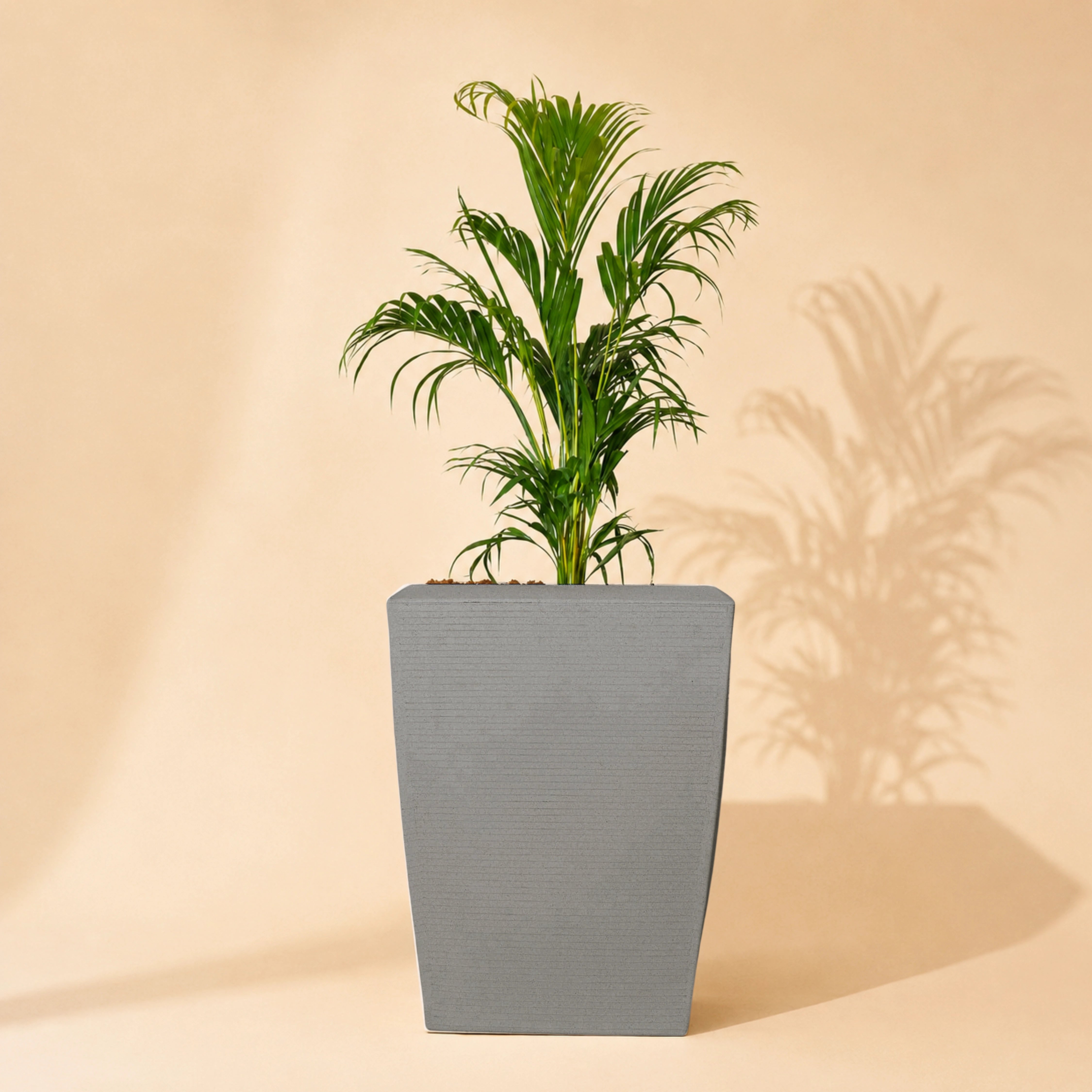 Opera Planter