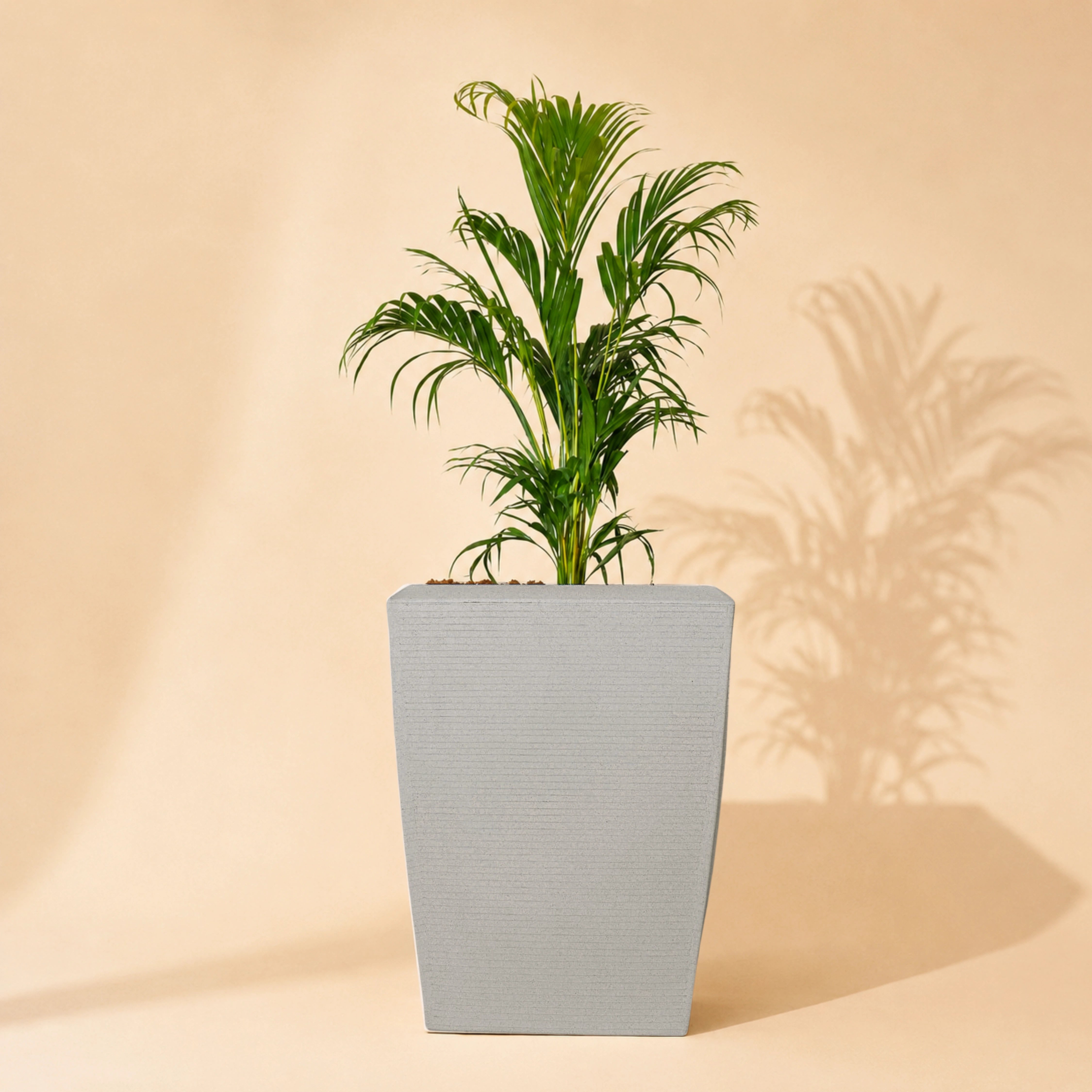 Opera Planter