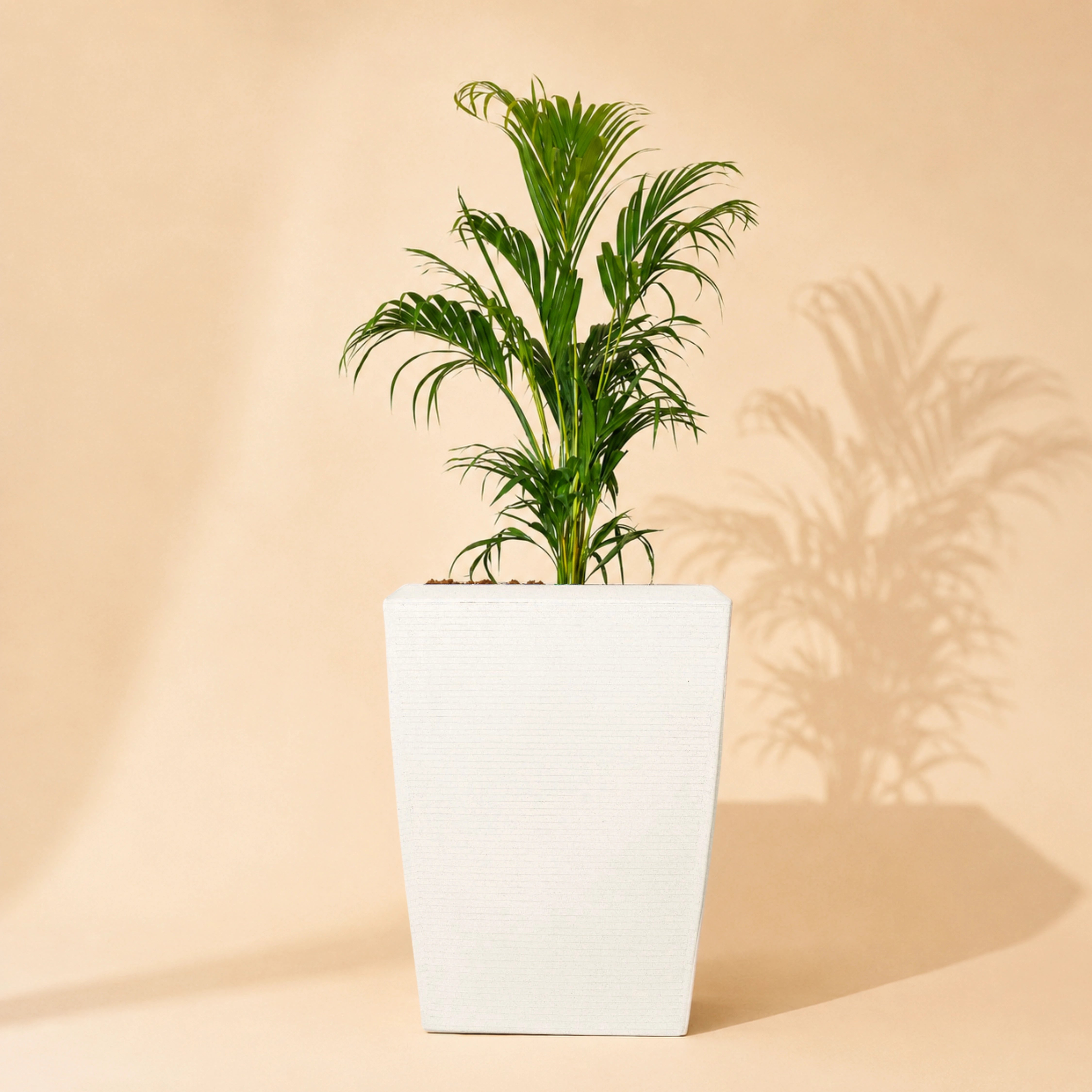 Opera Planter