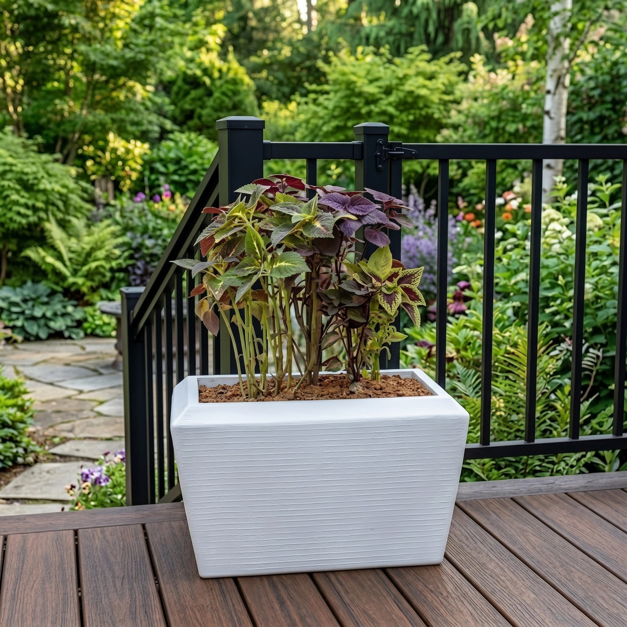 Opera Planter