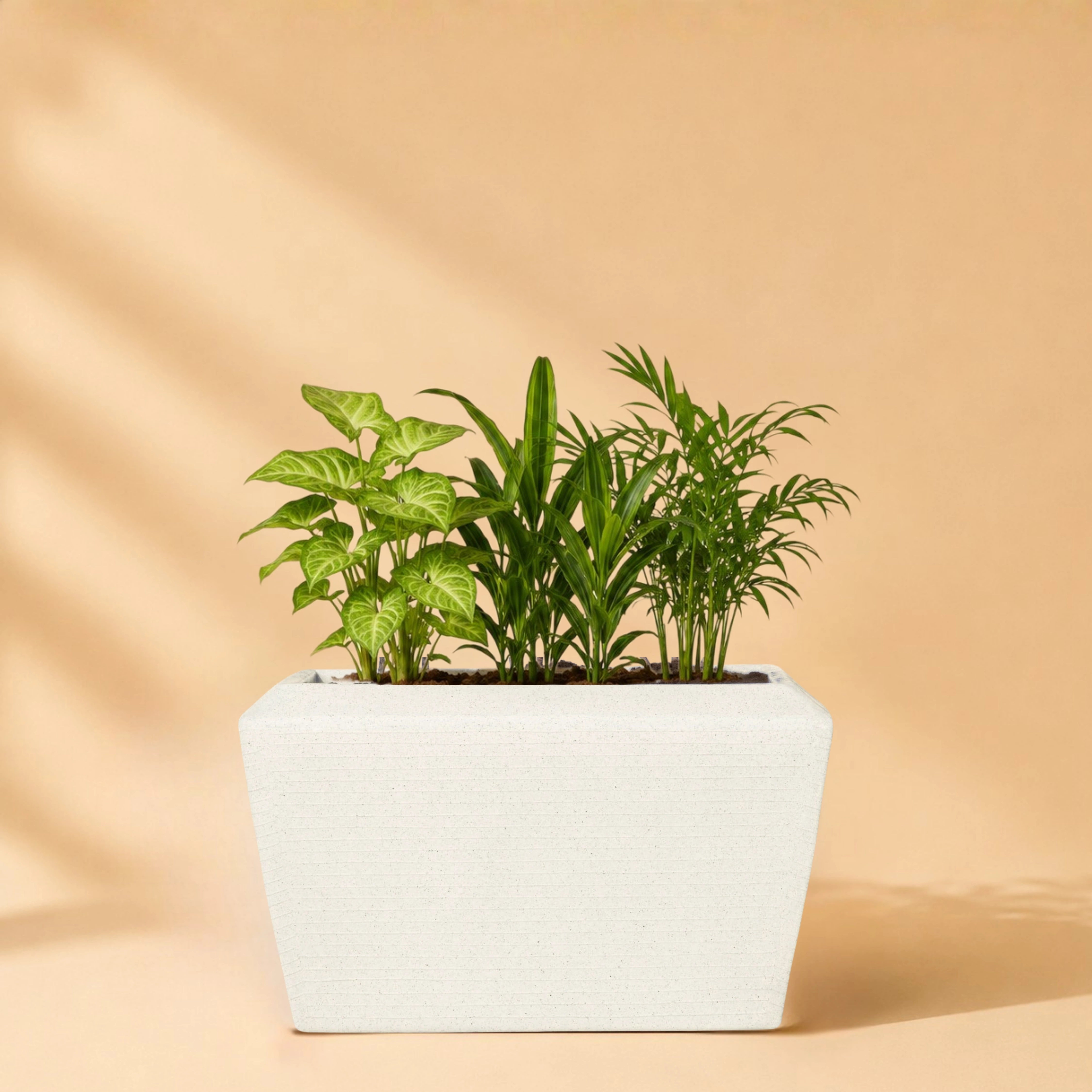 Opera Planter