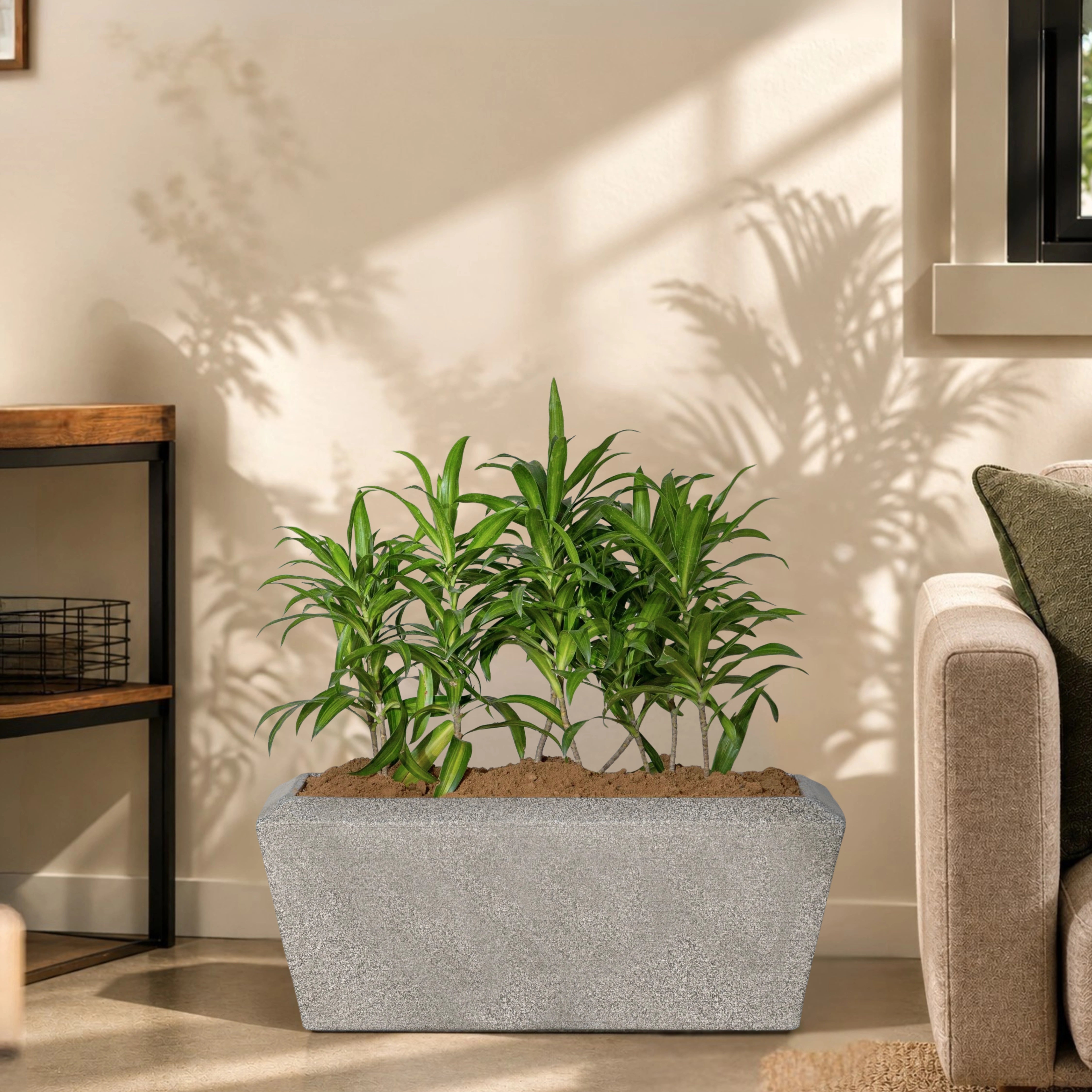 Opera Planter