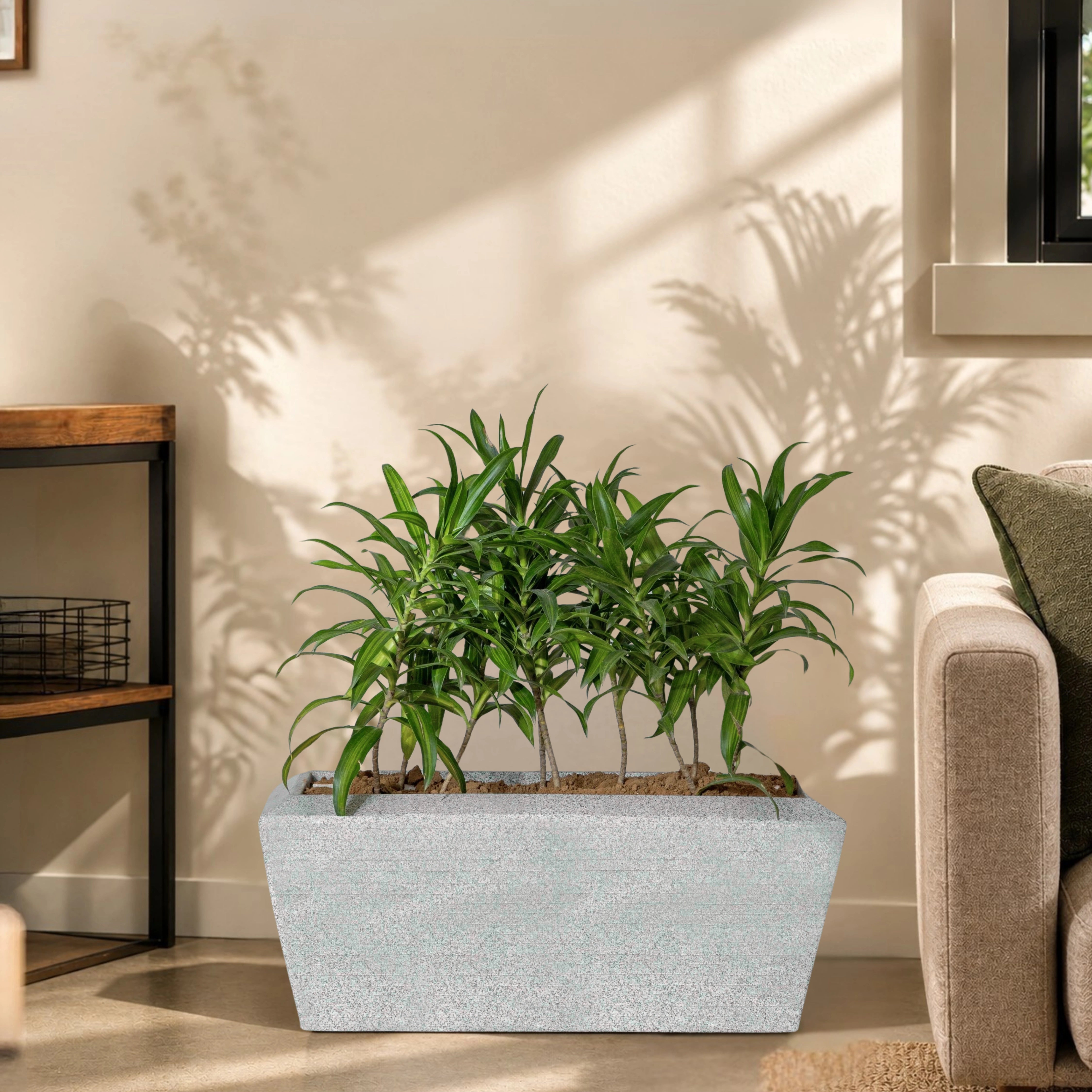 Opera Planter