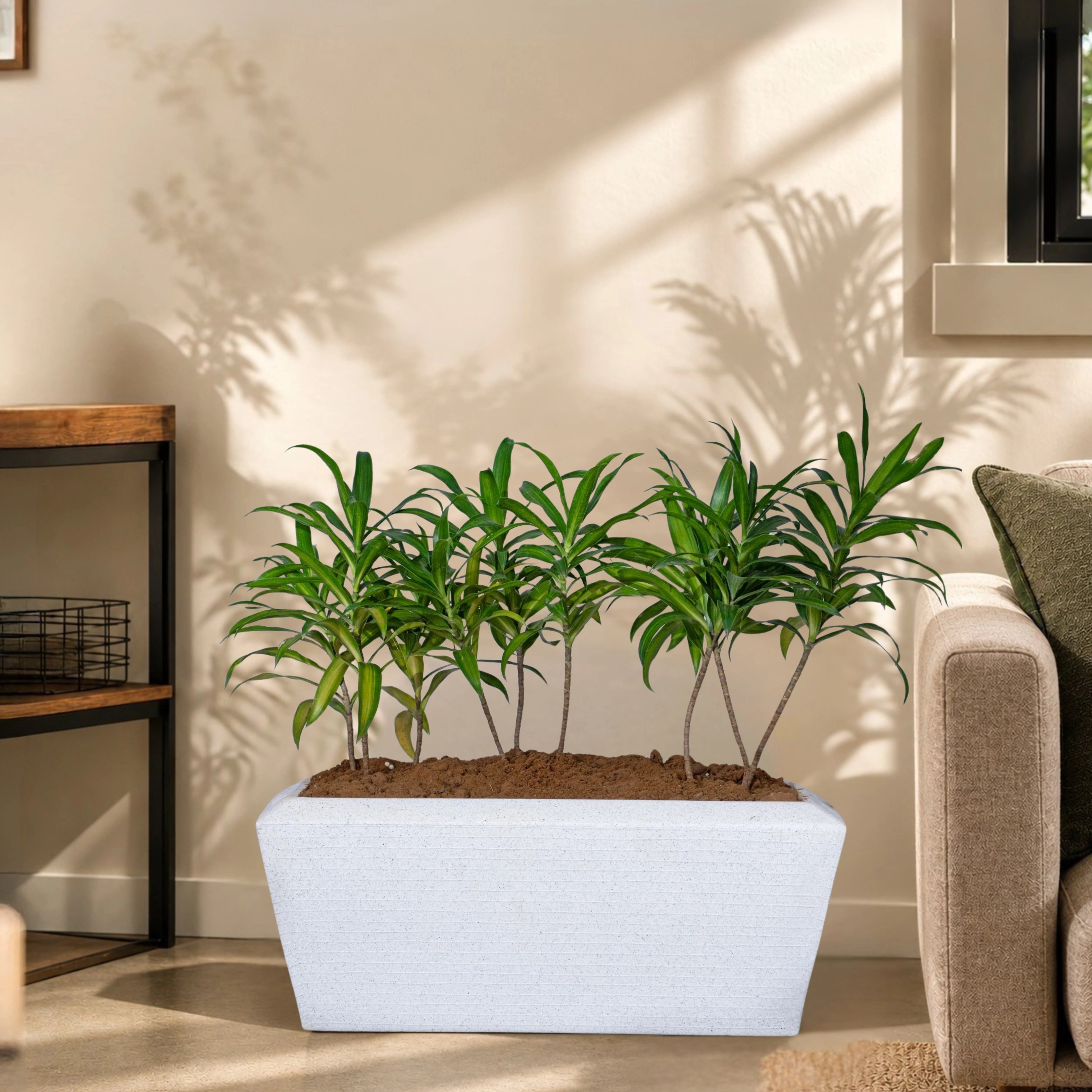 Opera Planter