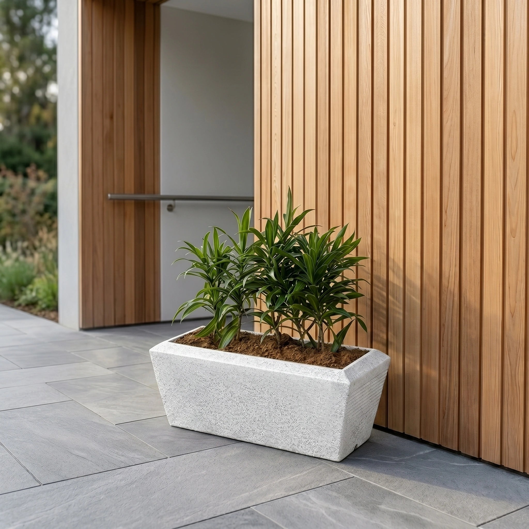 Opera Planter