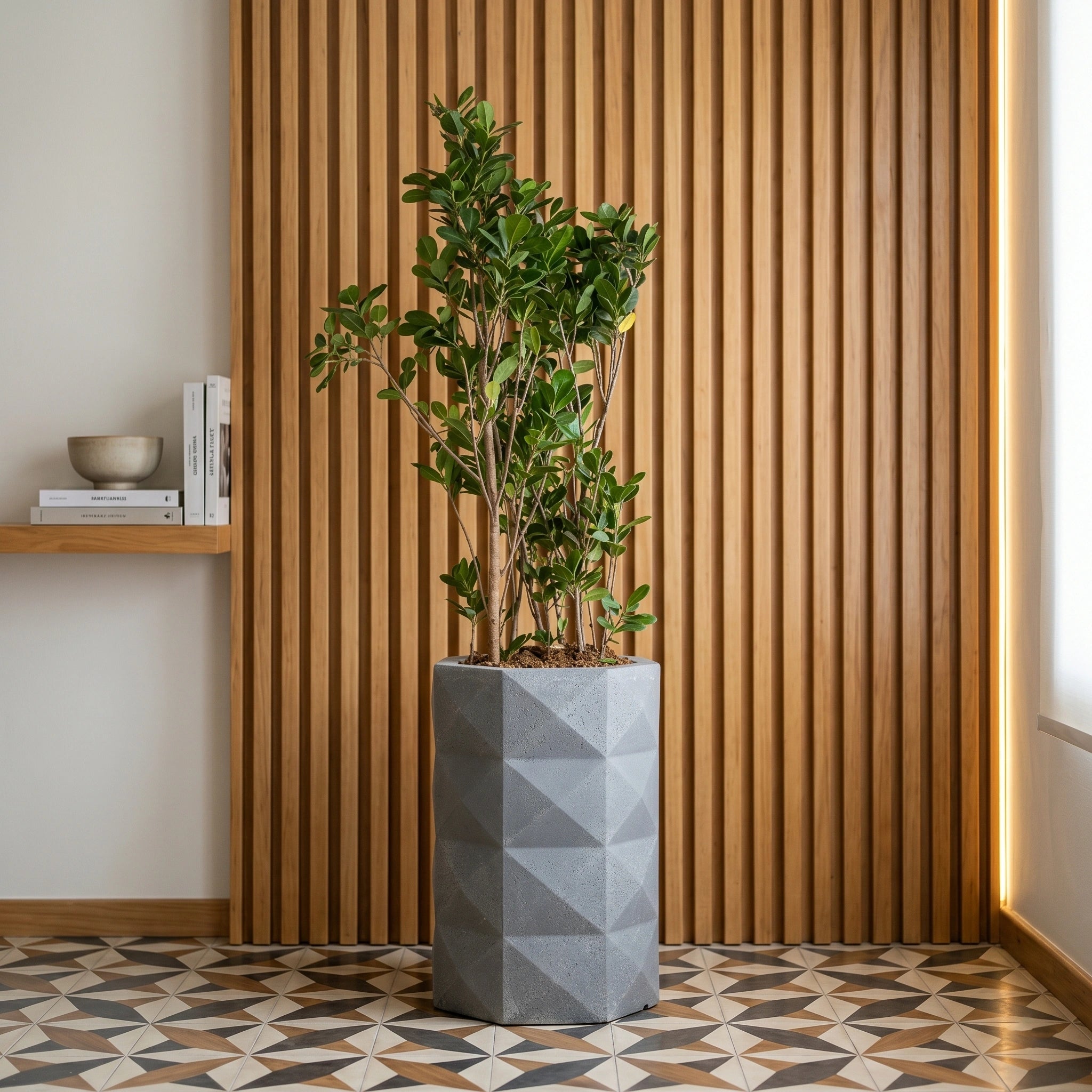 Large Outdoor Planter for Garden