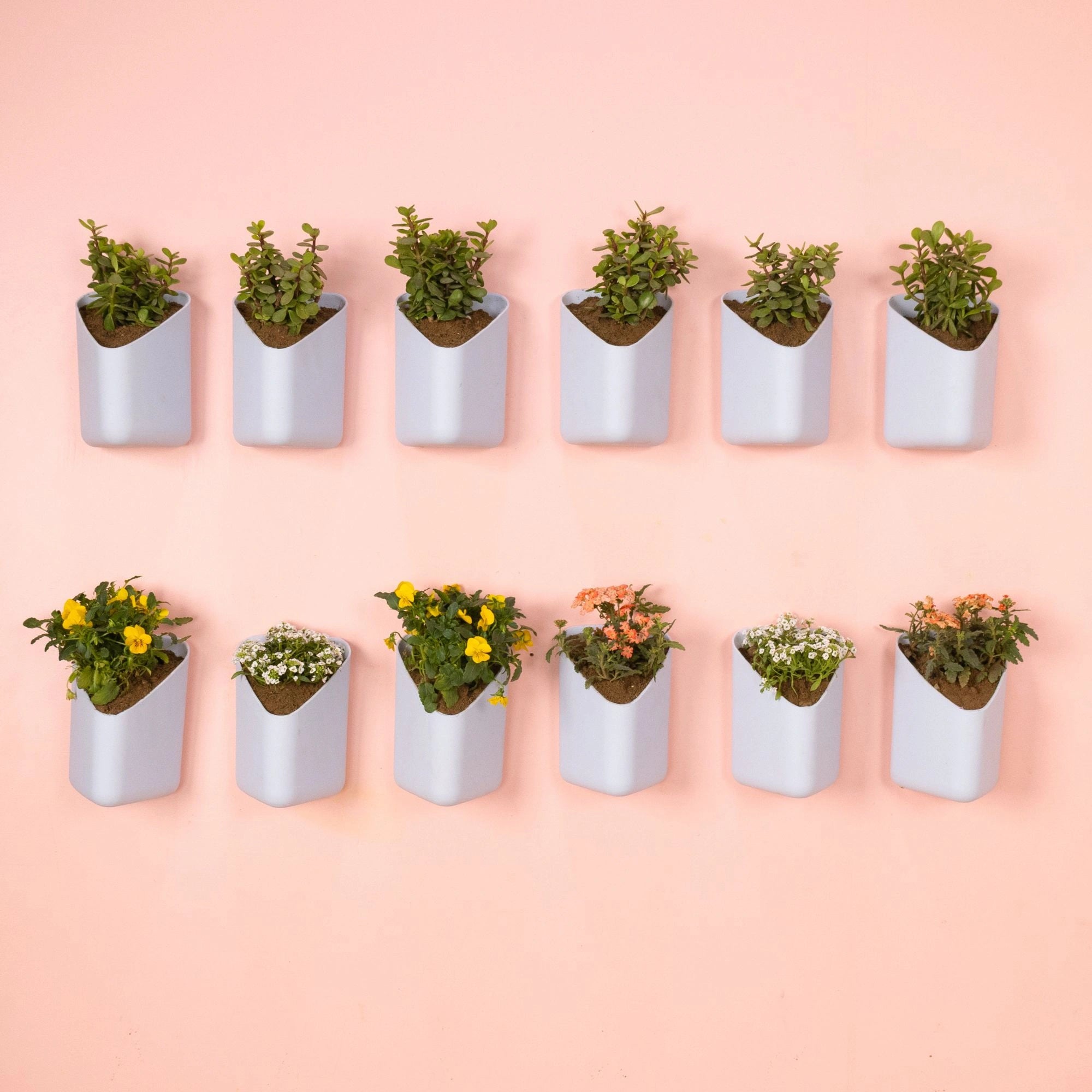Prism Hanging Planter