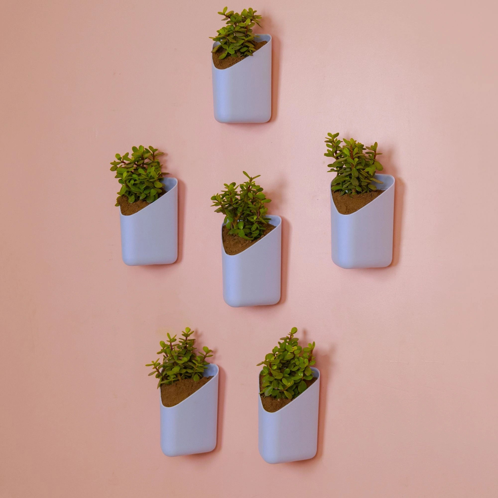 Prism Hanging Planter