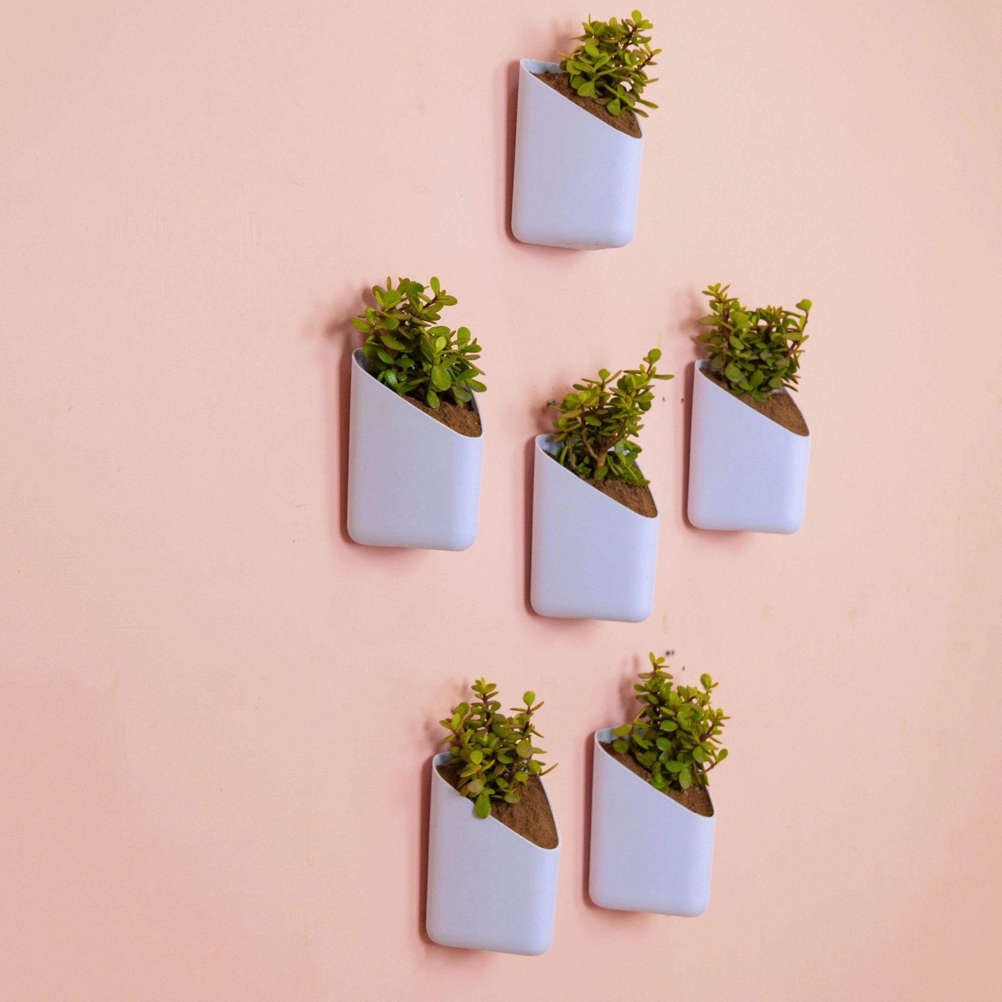 Prism Hanging Planter