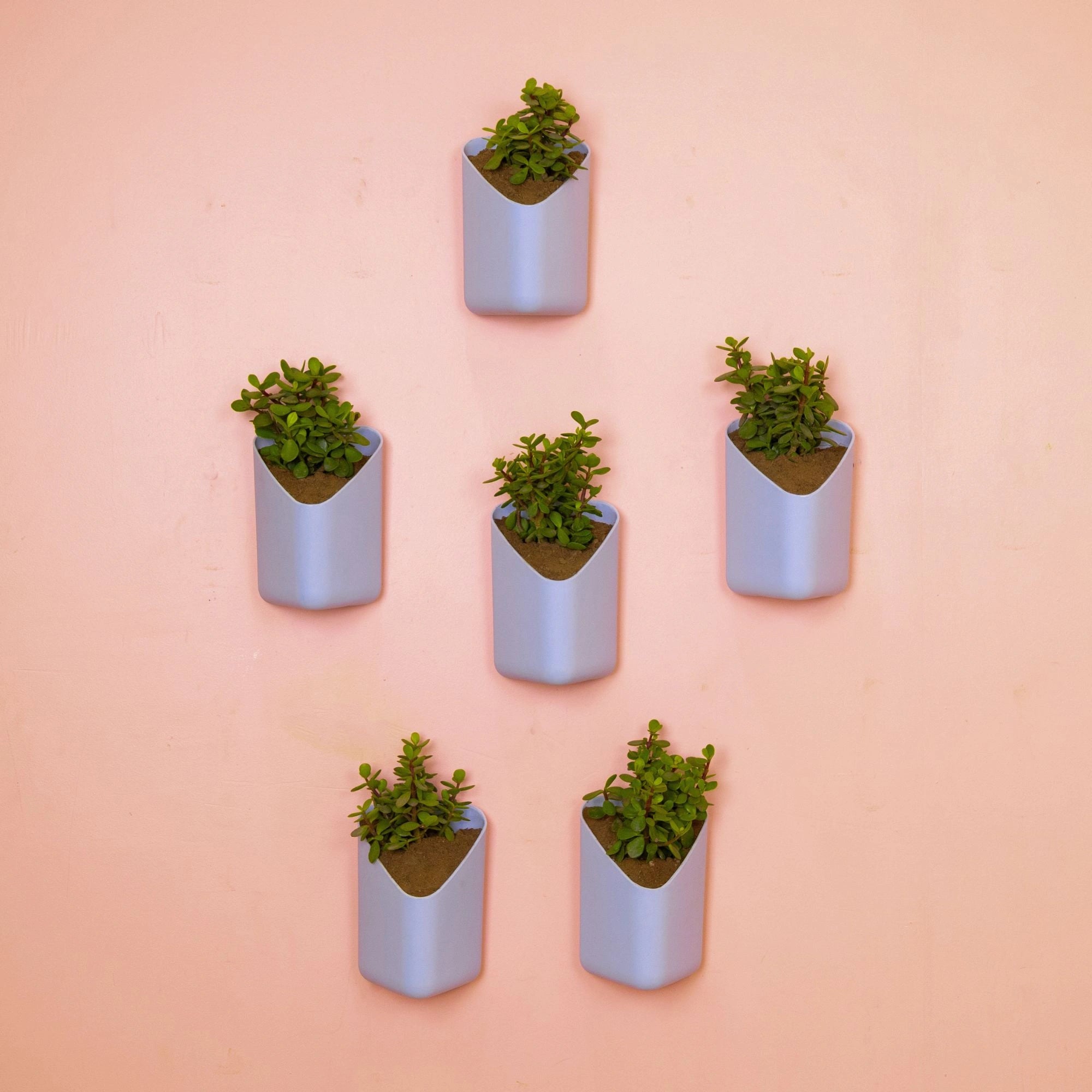 Prism Hanging Planter