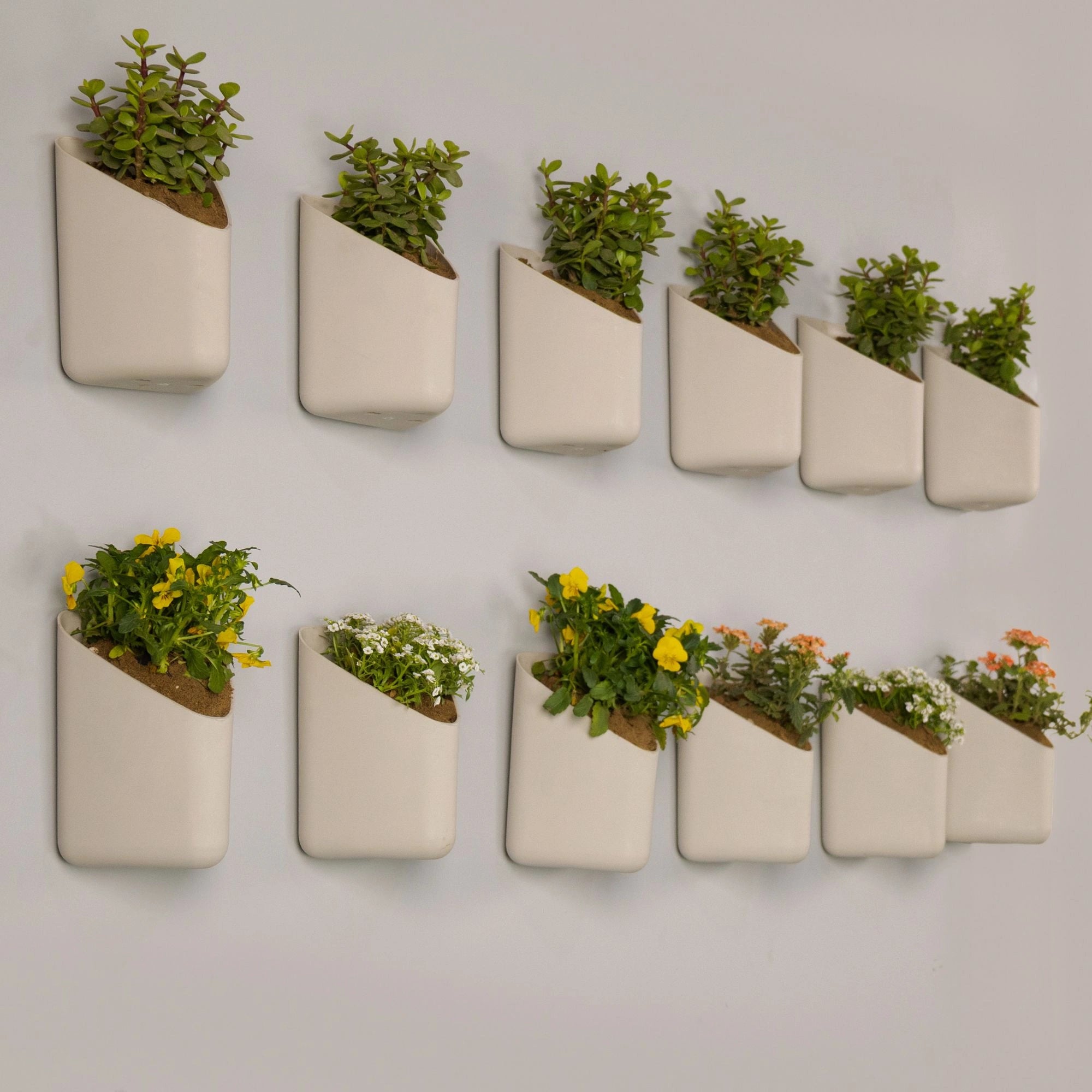 Prism Hanging Planter