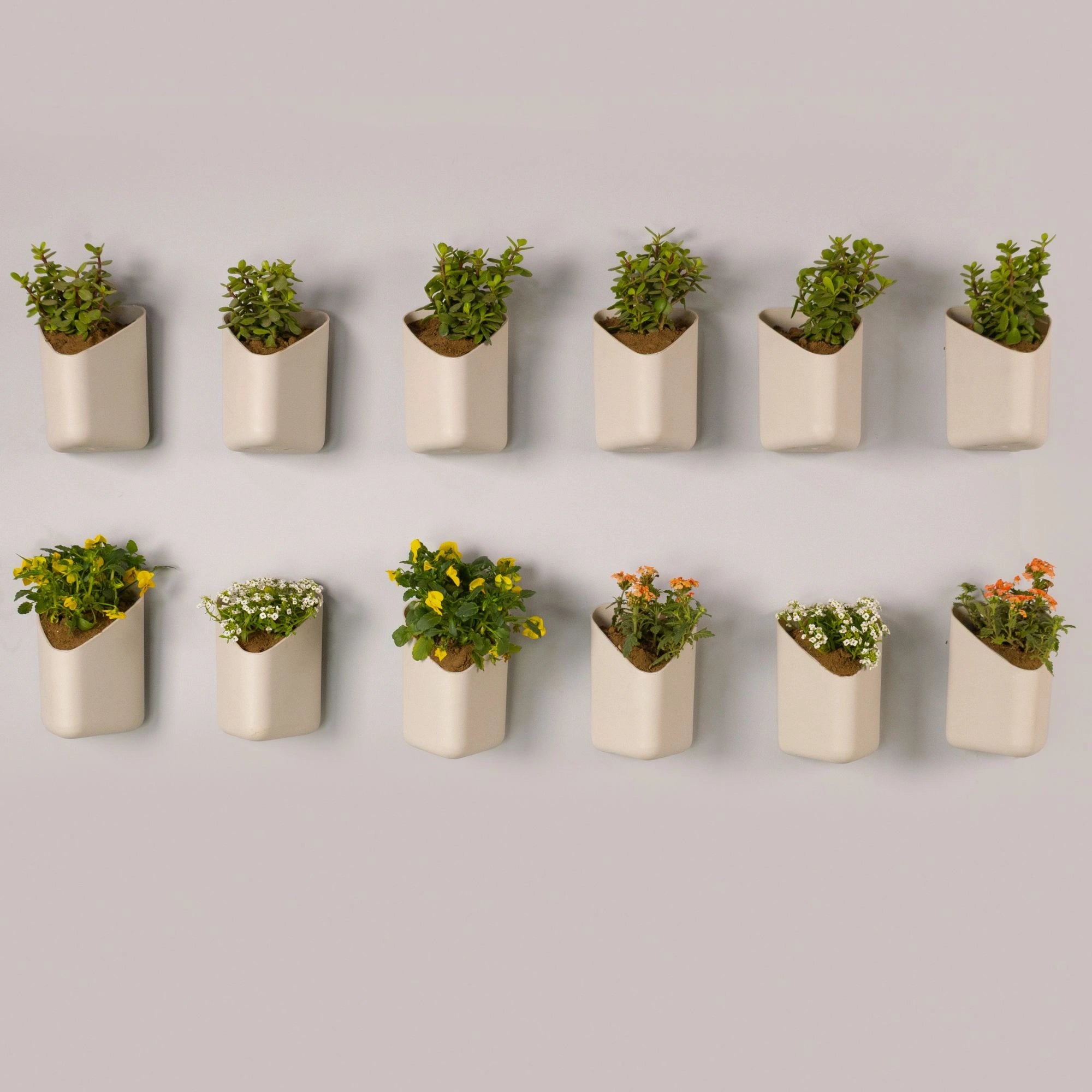 Prism Hanging Planter