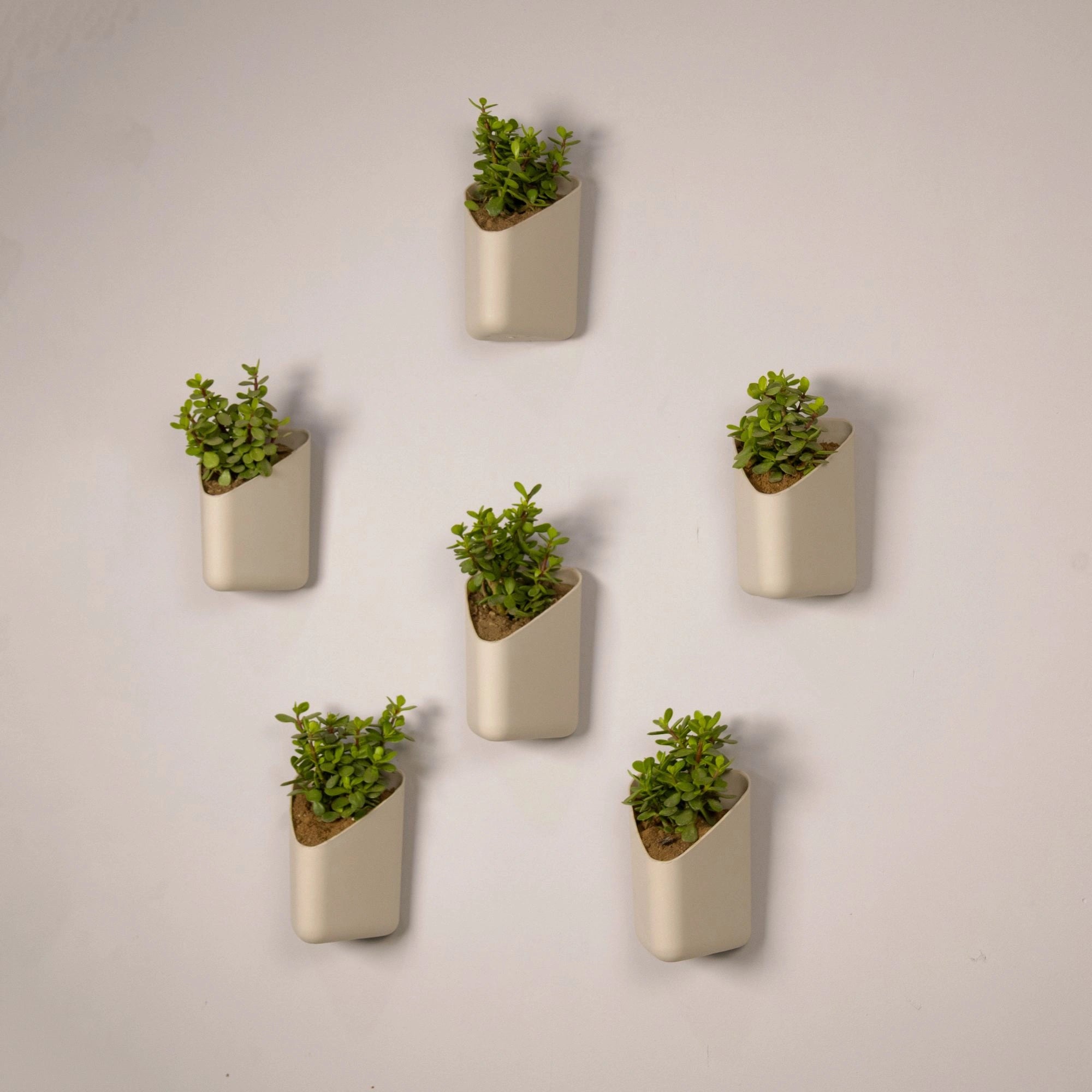 Prism Hanging Planter