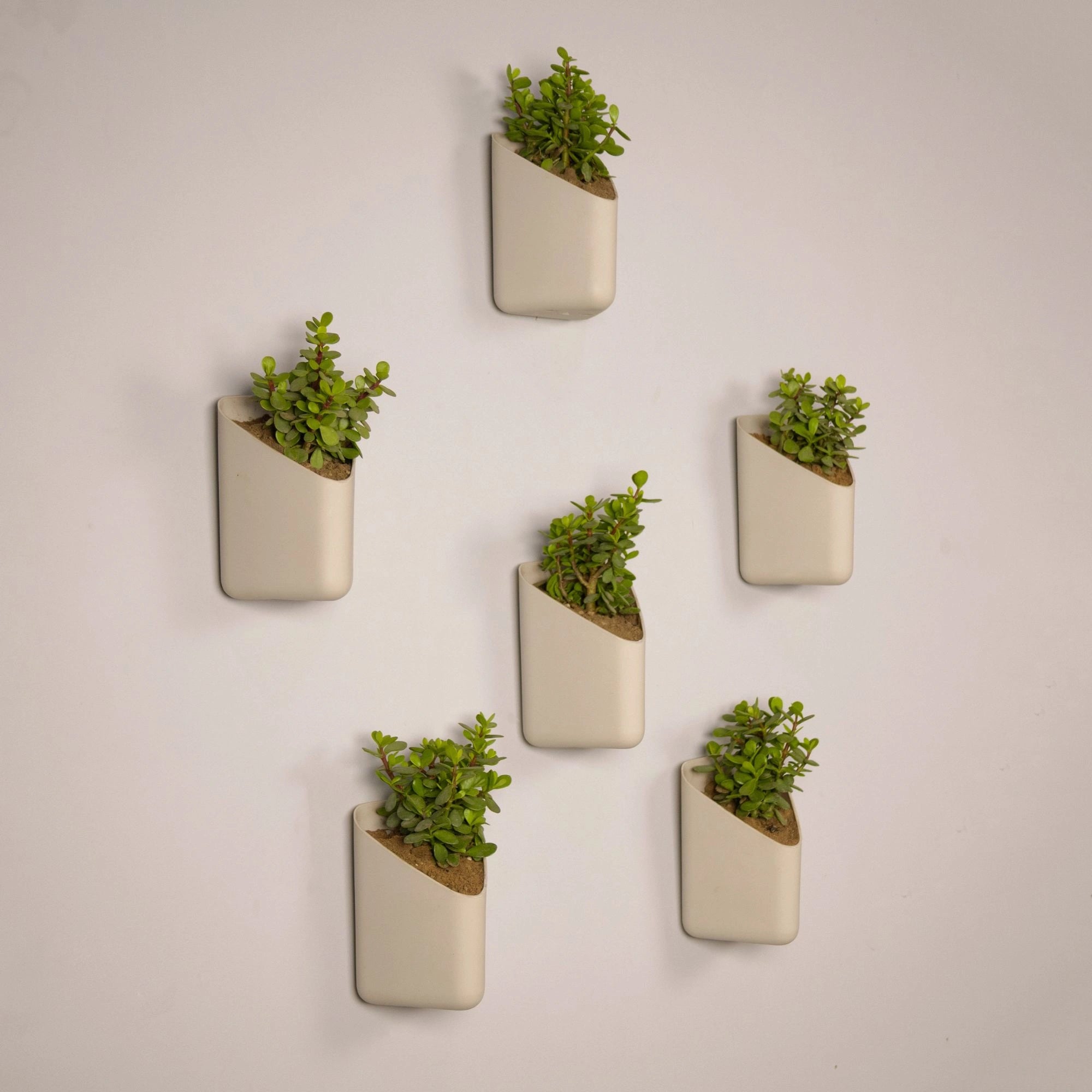 Prism Hanging Planter