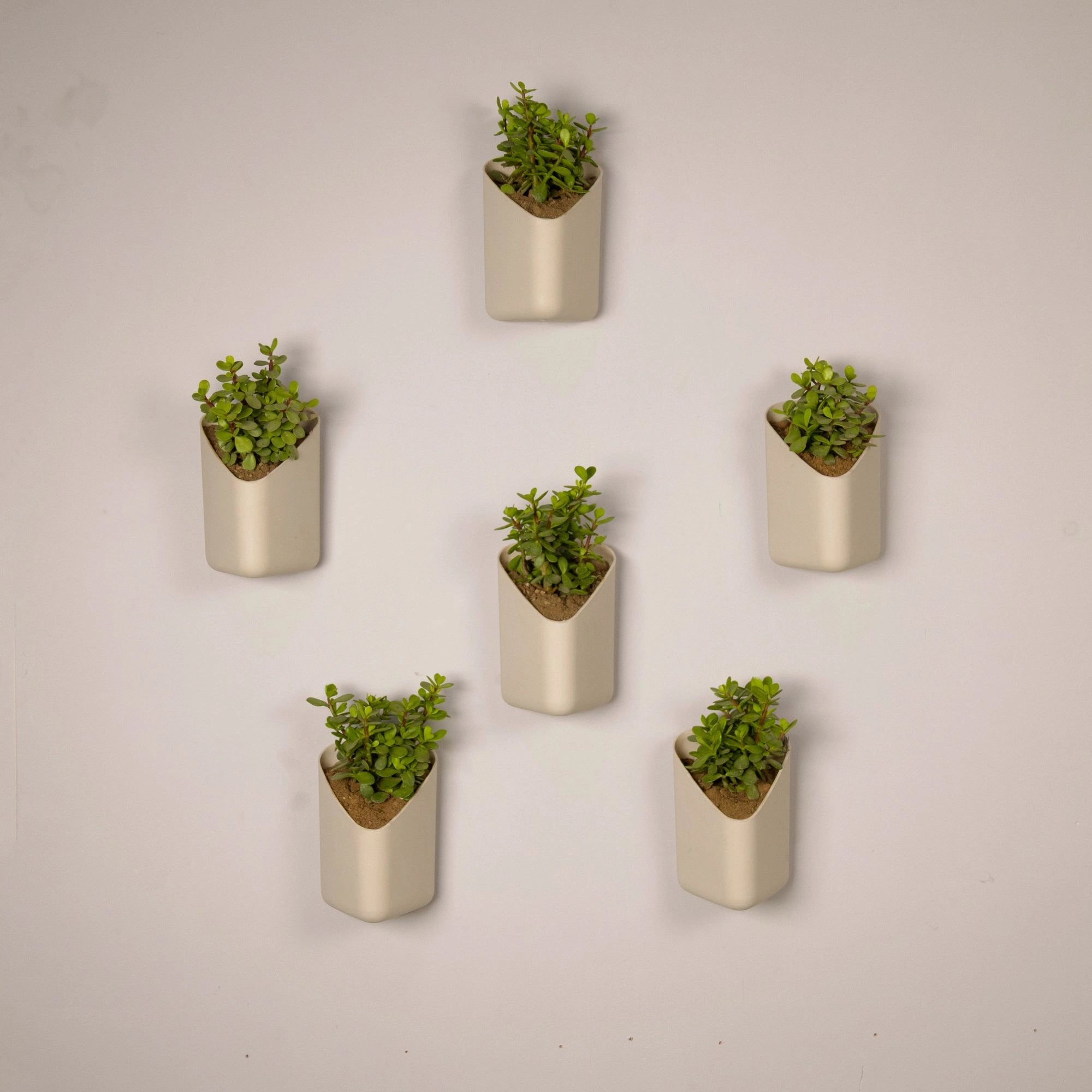 Prism Hanging Planter