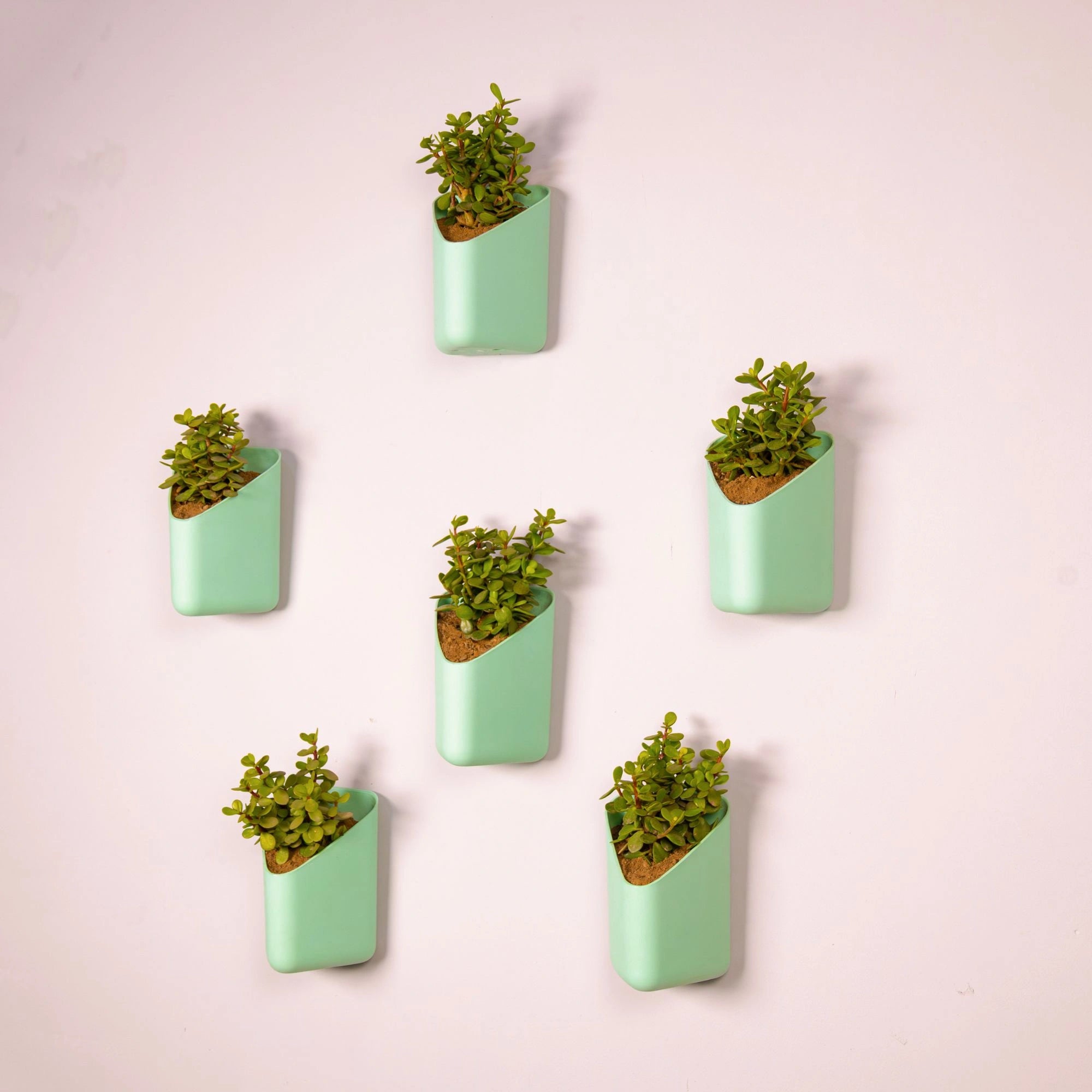 Prism Hanging Planter