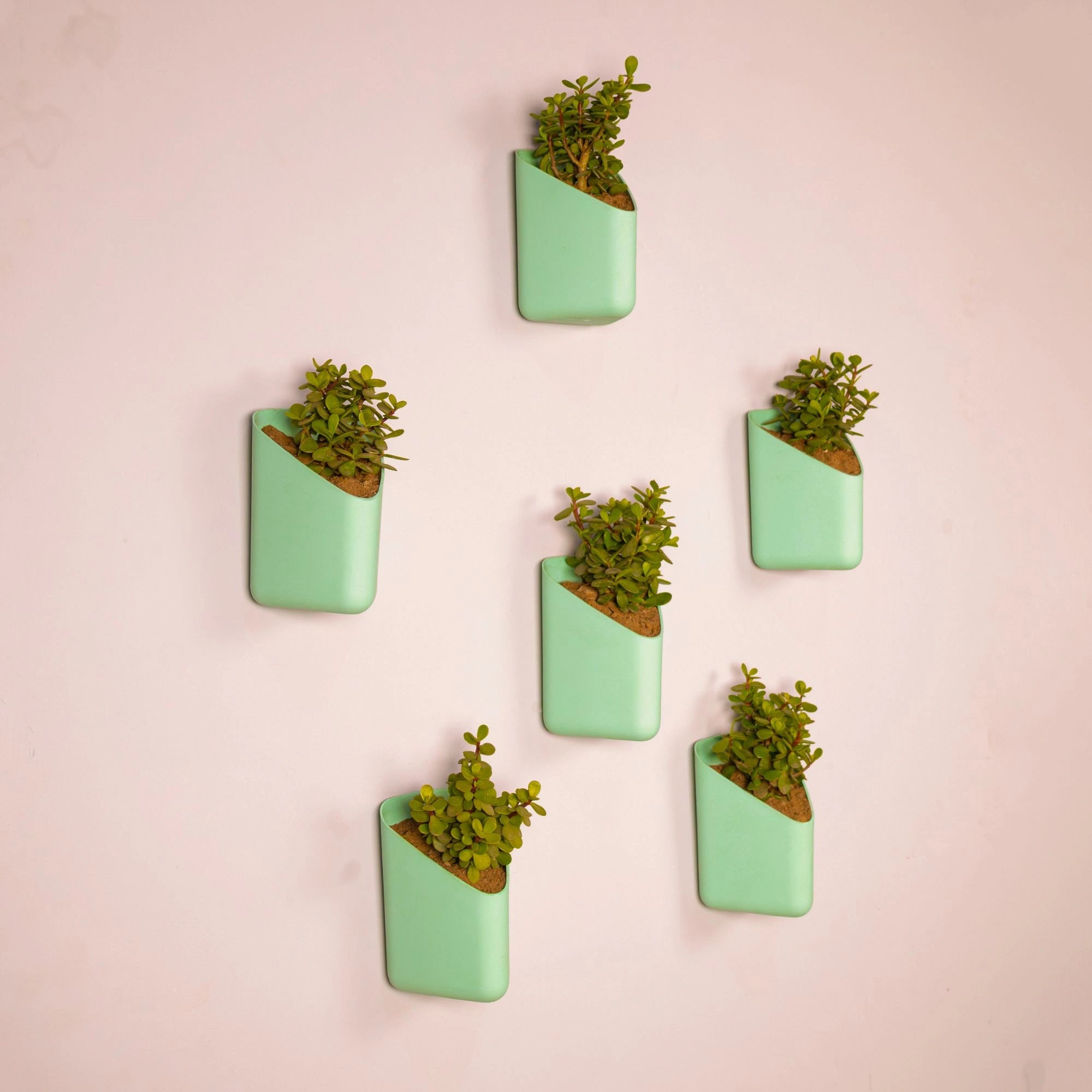 Prism Hanging Planter