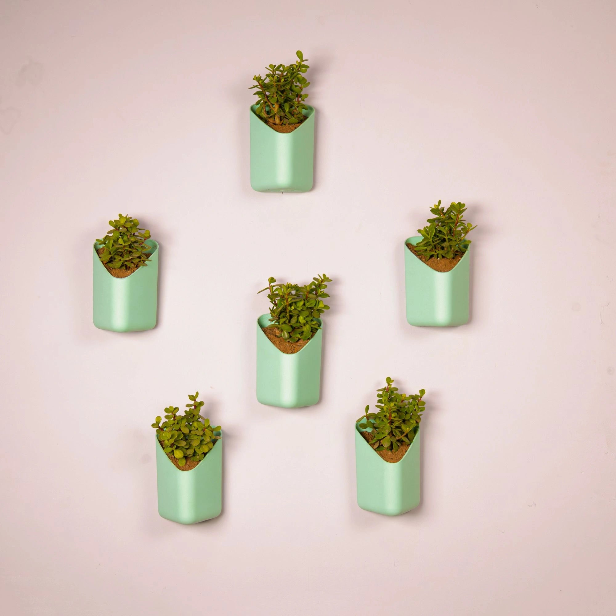 Prism Hanging Planter