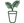 Soft curved design