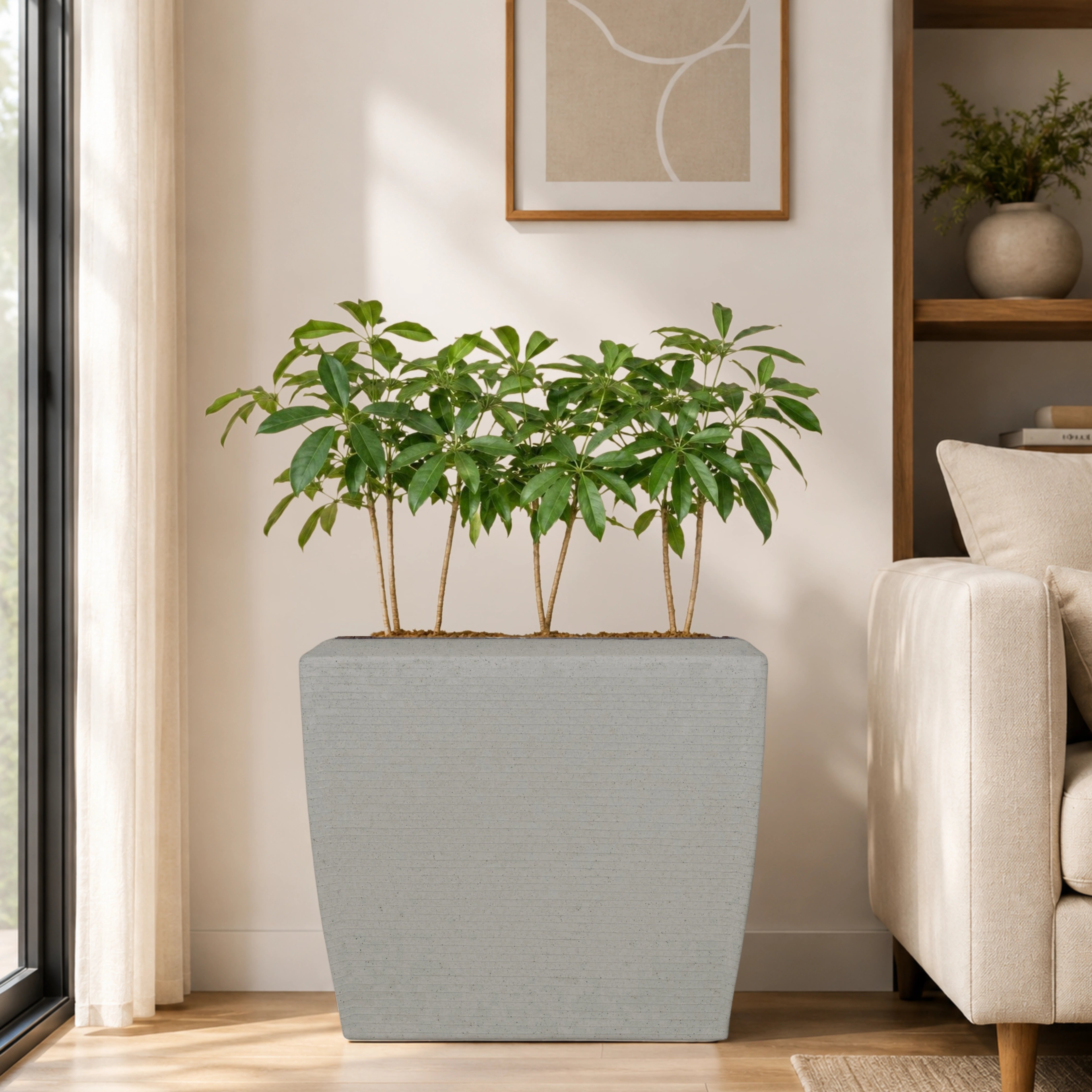 Venus Planter