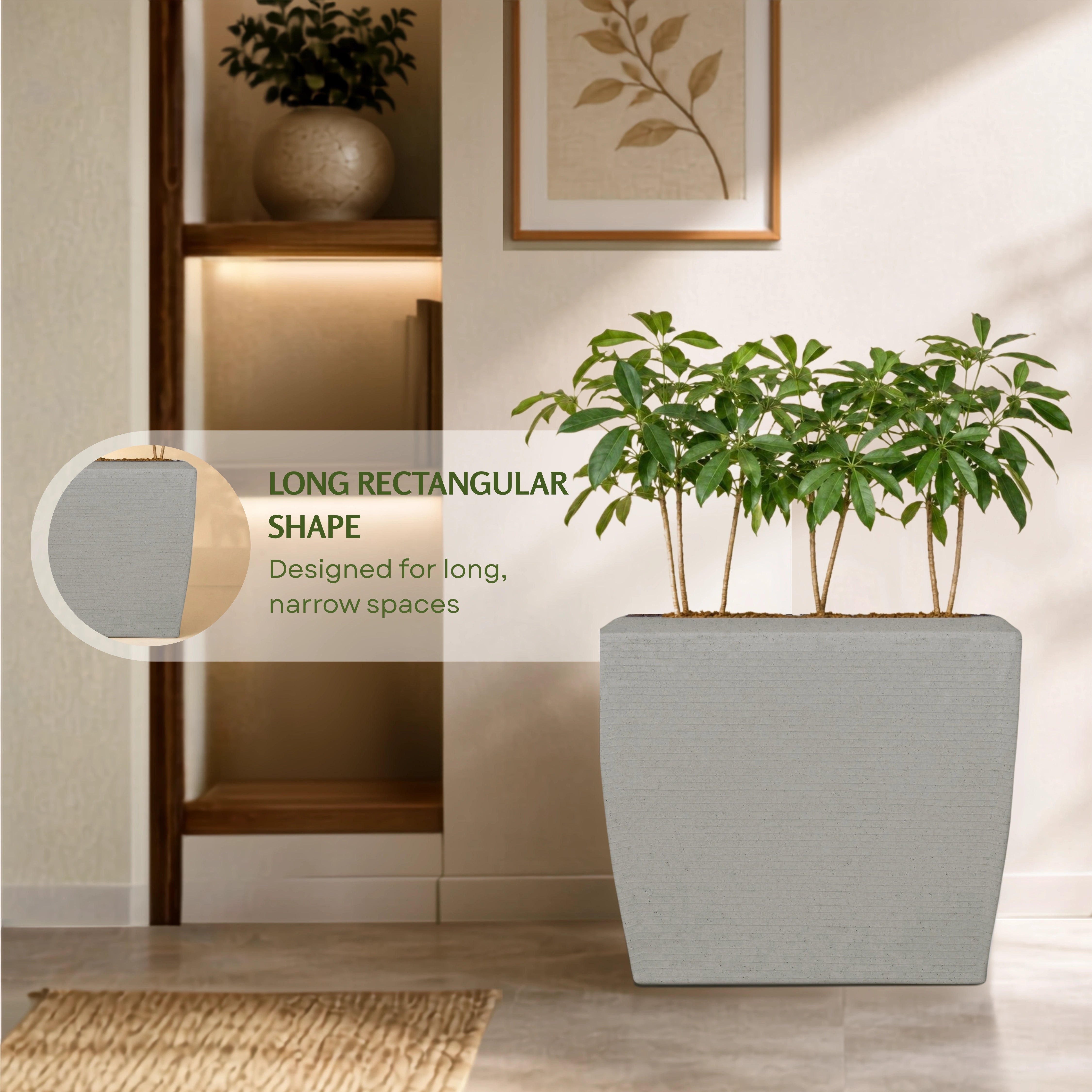 Venus Planter
