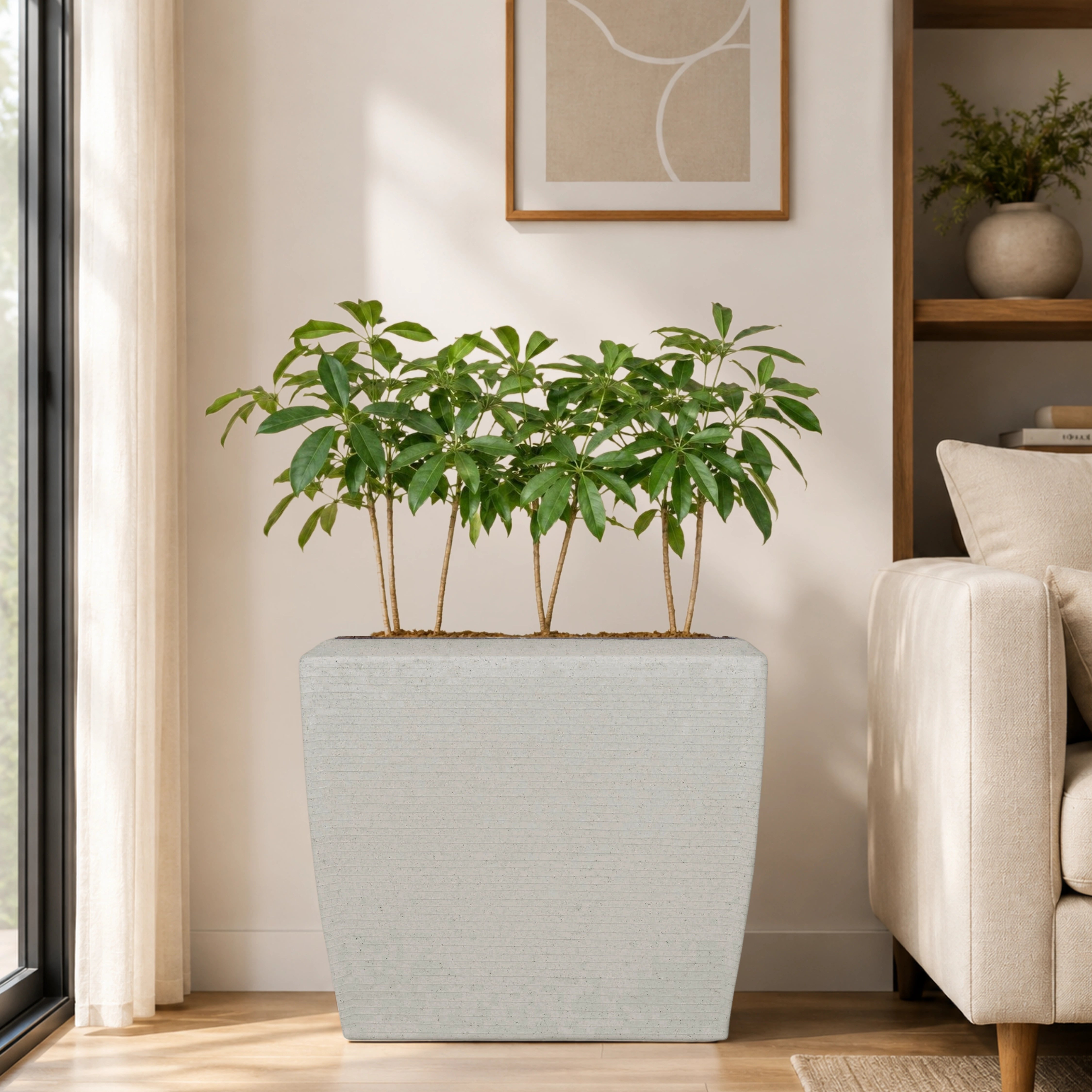 Venus Planter