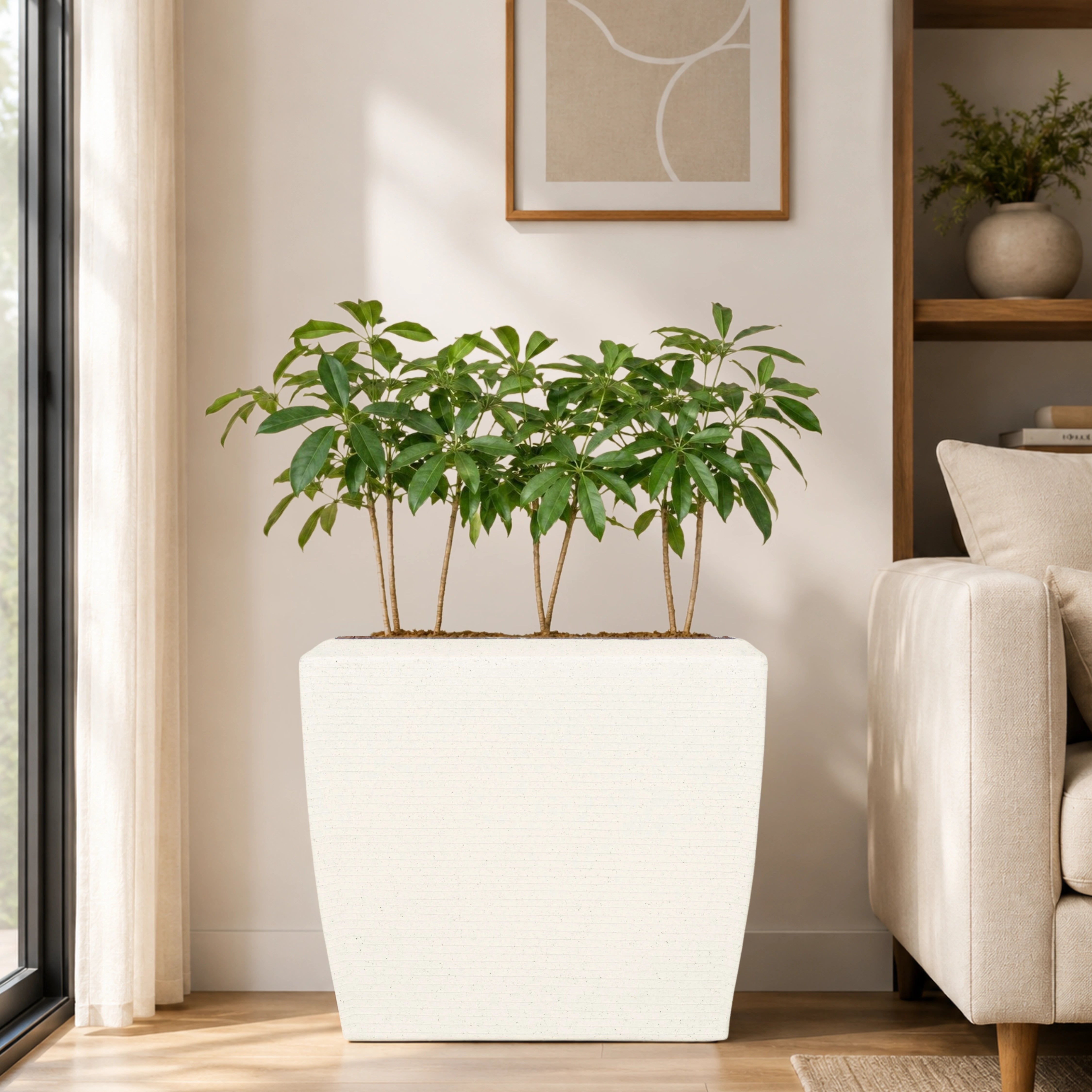 Venus Planter