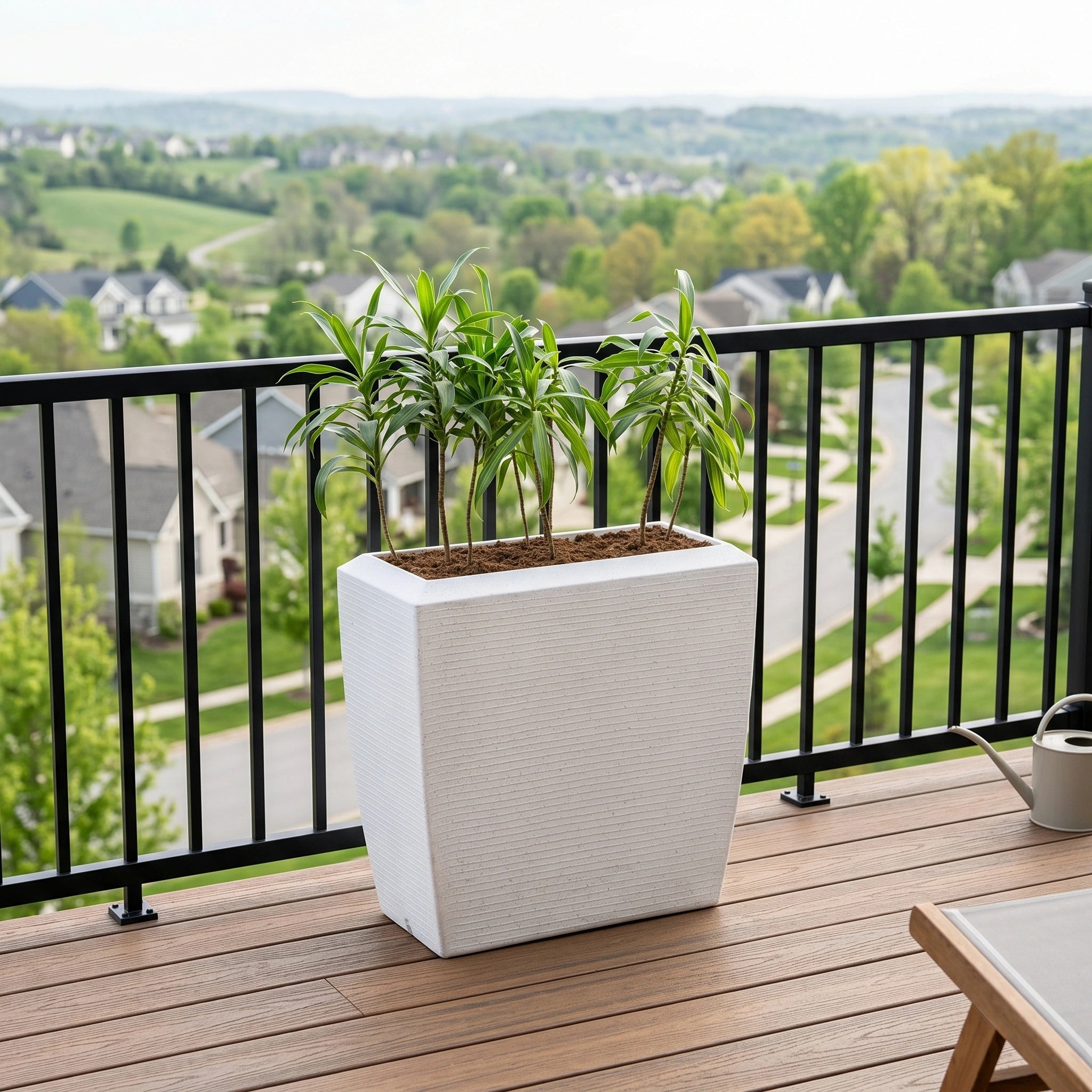 Venus Planter