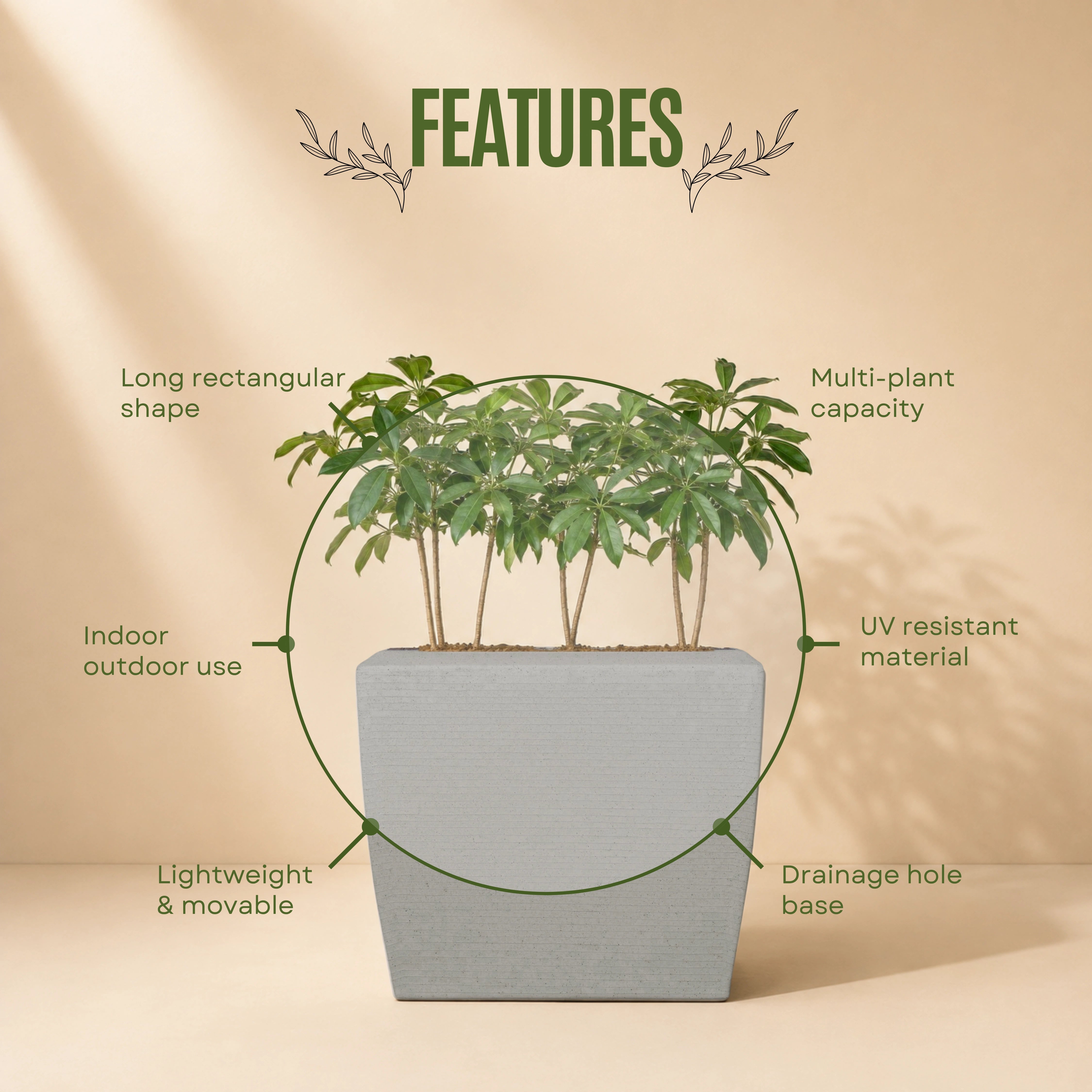 Venus Planter
