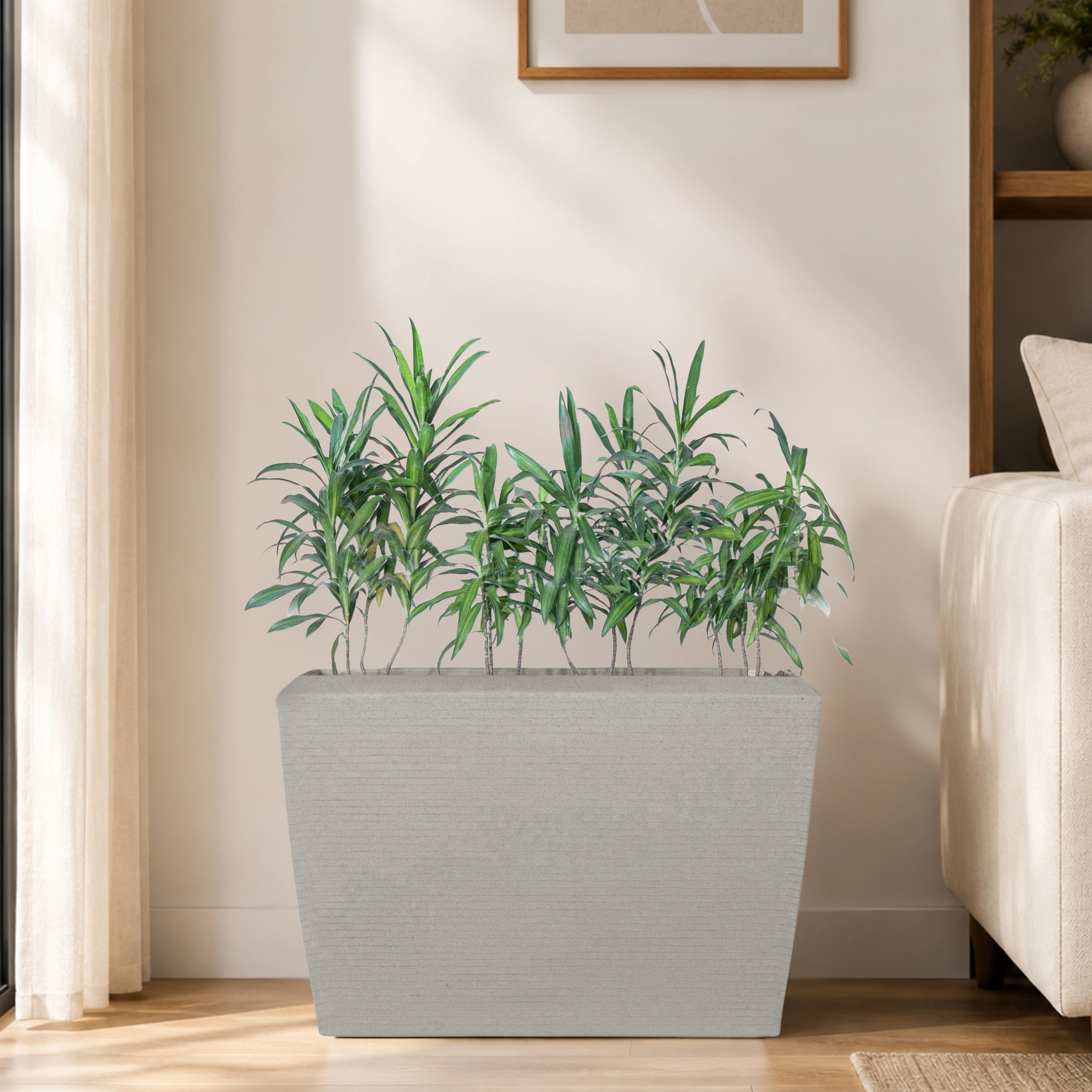 Venus Planter
