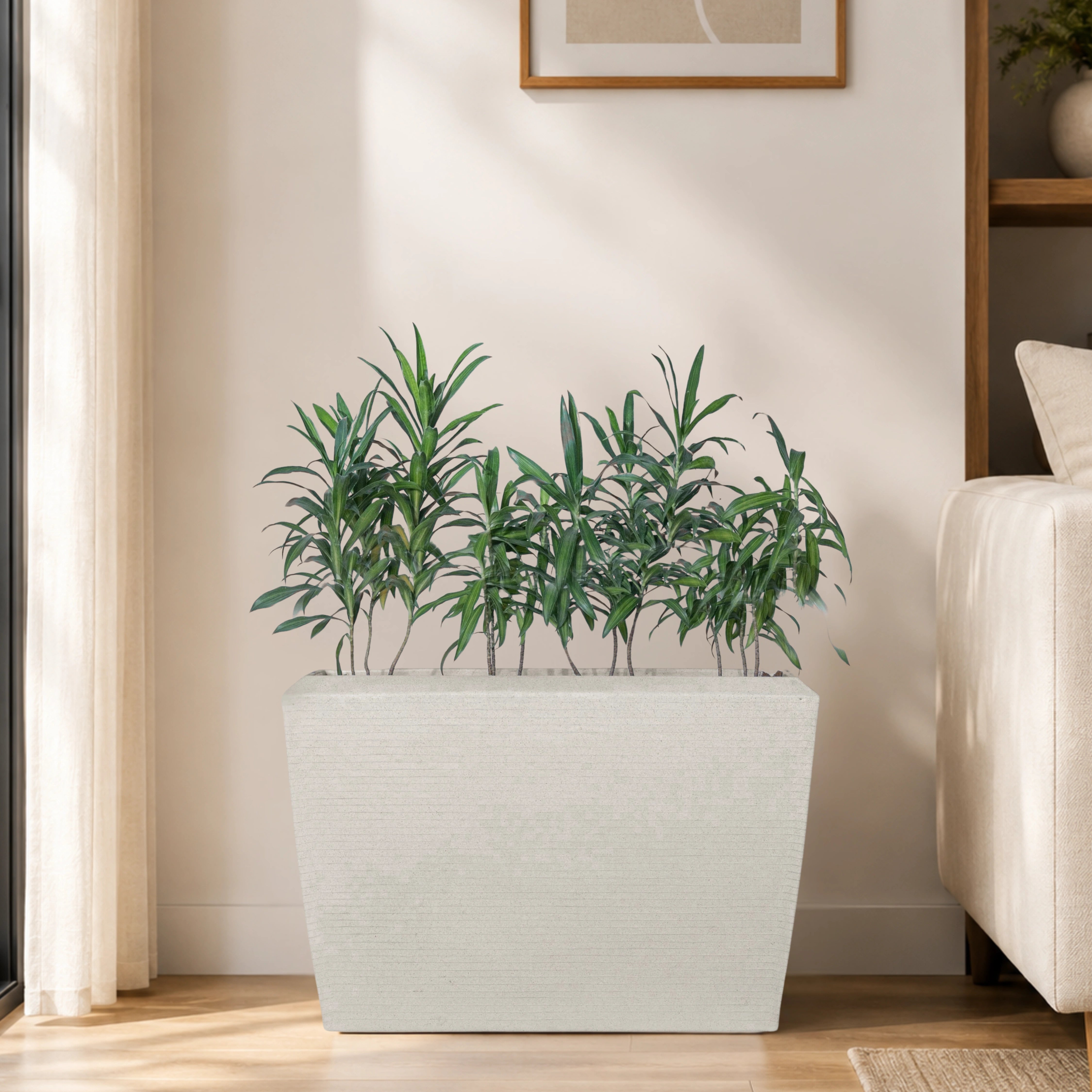 Venus Planter