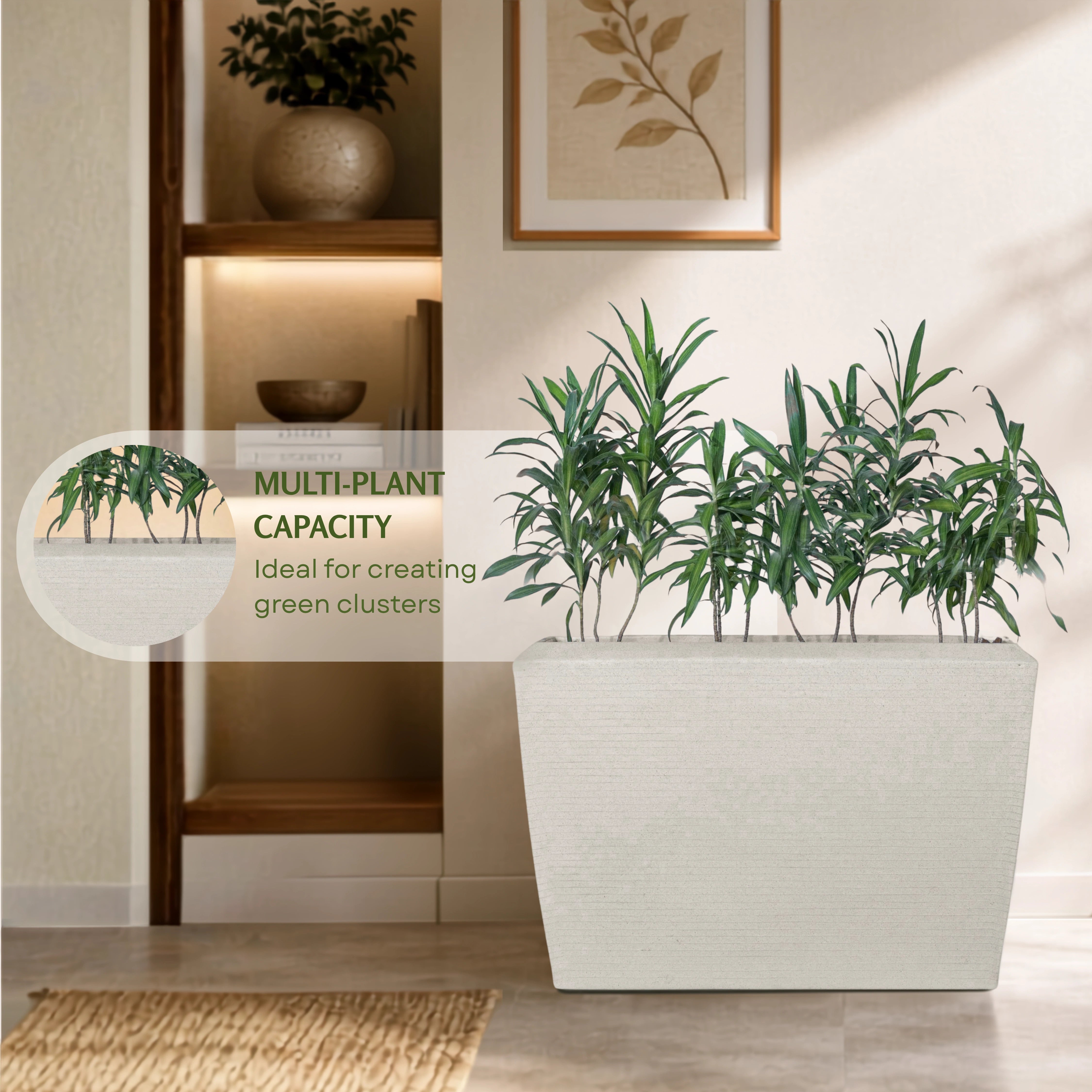 Venus Planter